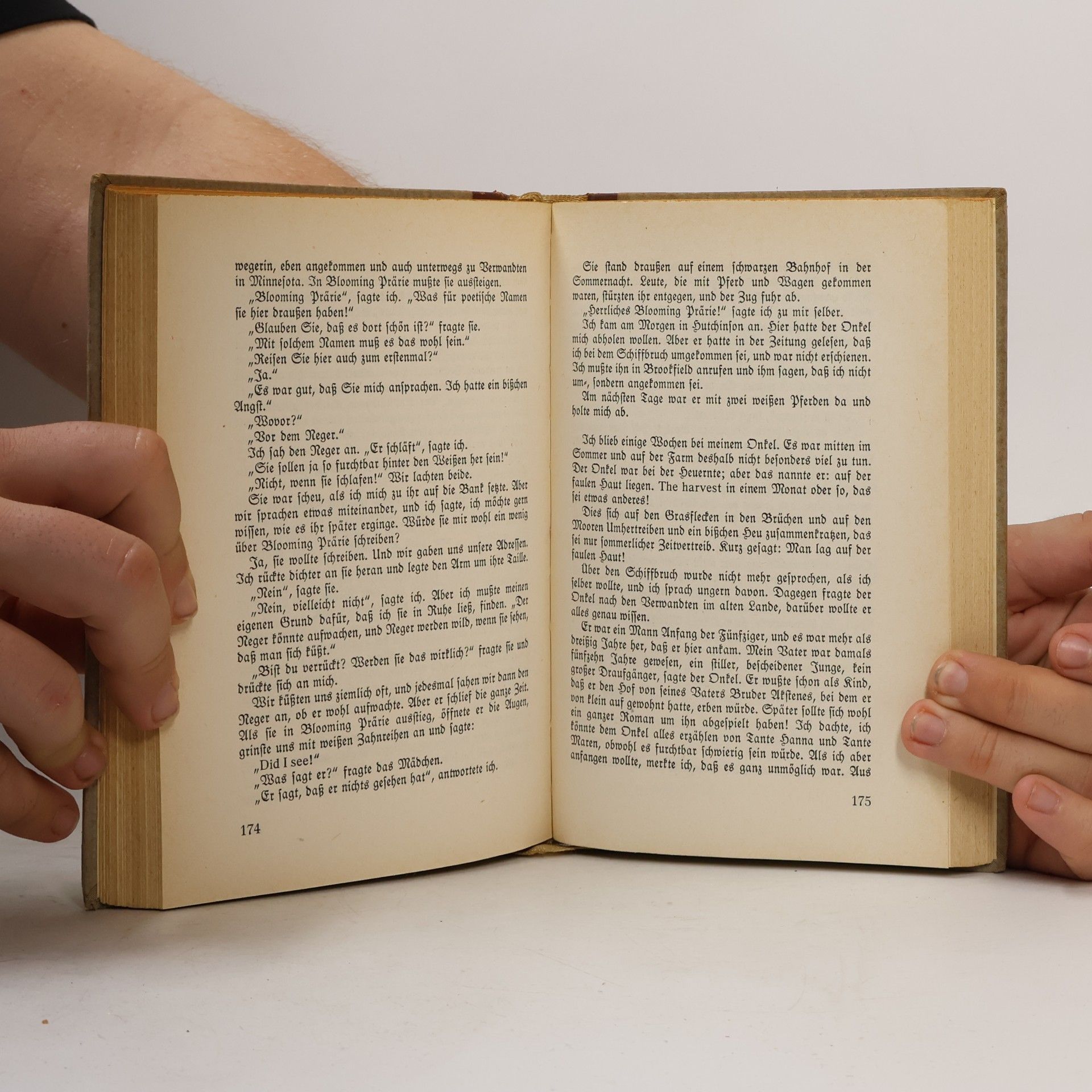 Herman Wildenvey Mein Pegasus und die Welt