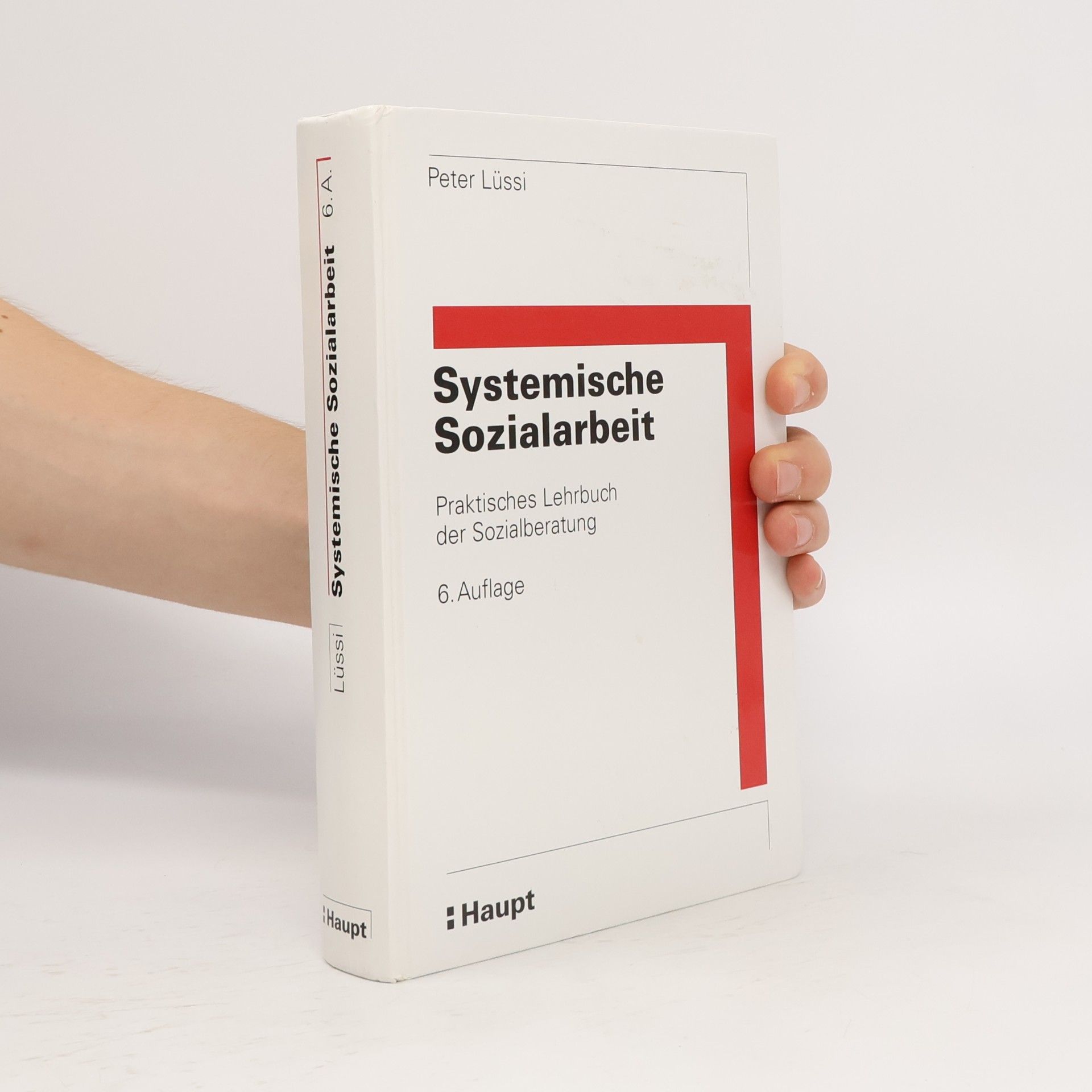 Peter Lüssi Systemische Sozialarbeit