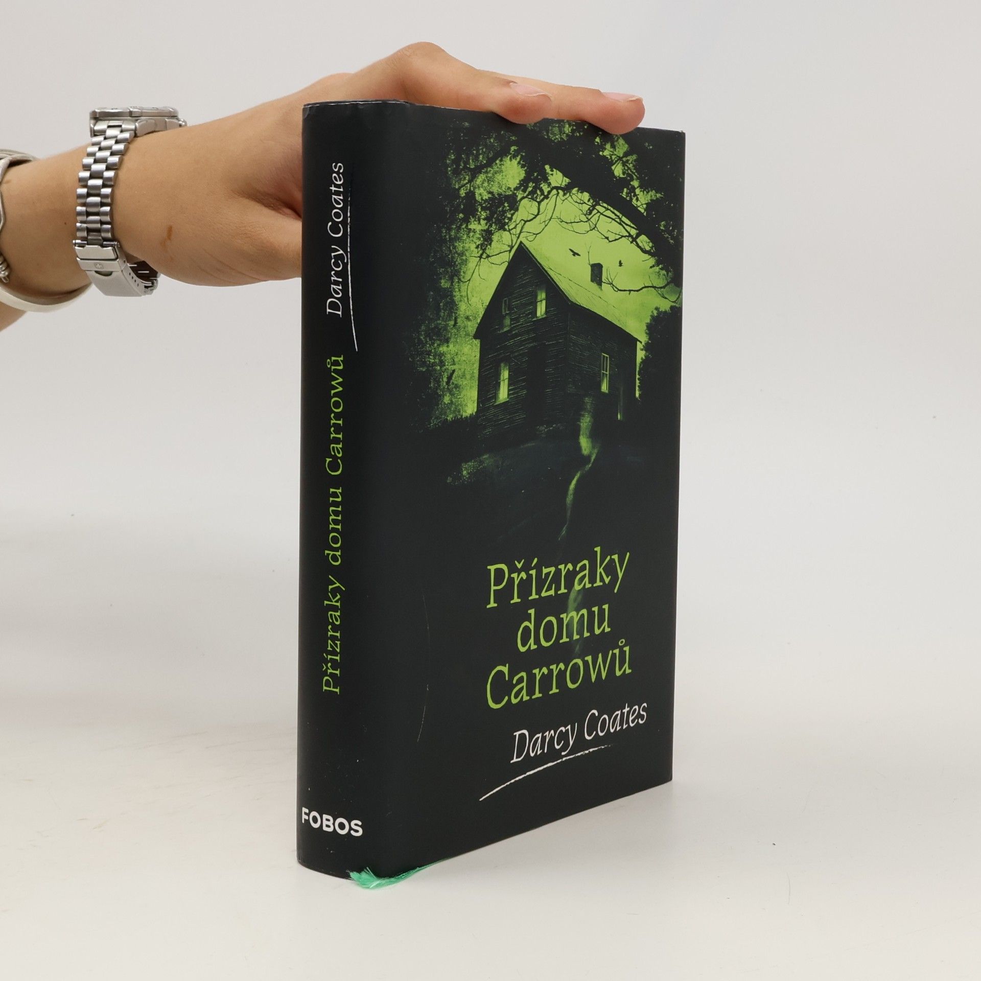 Darcy Coates Přízraky domu Carrowů
