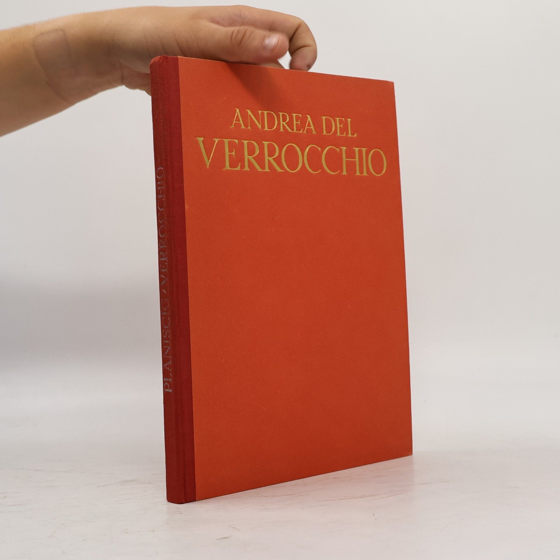 Andrea Del Verrocchip
