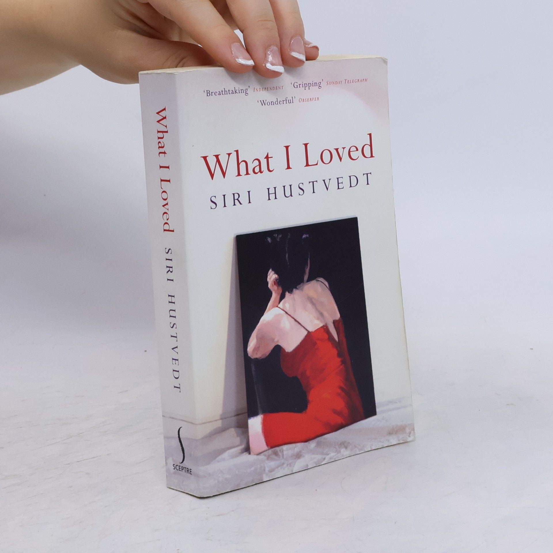Siri Hustvedt What I Loved