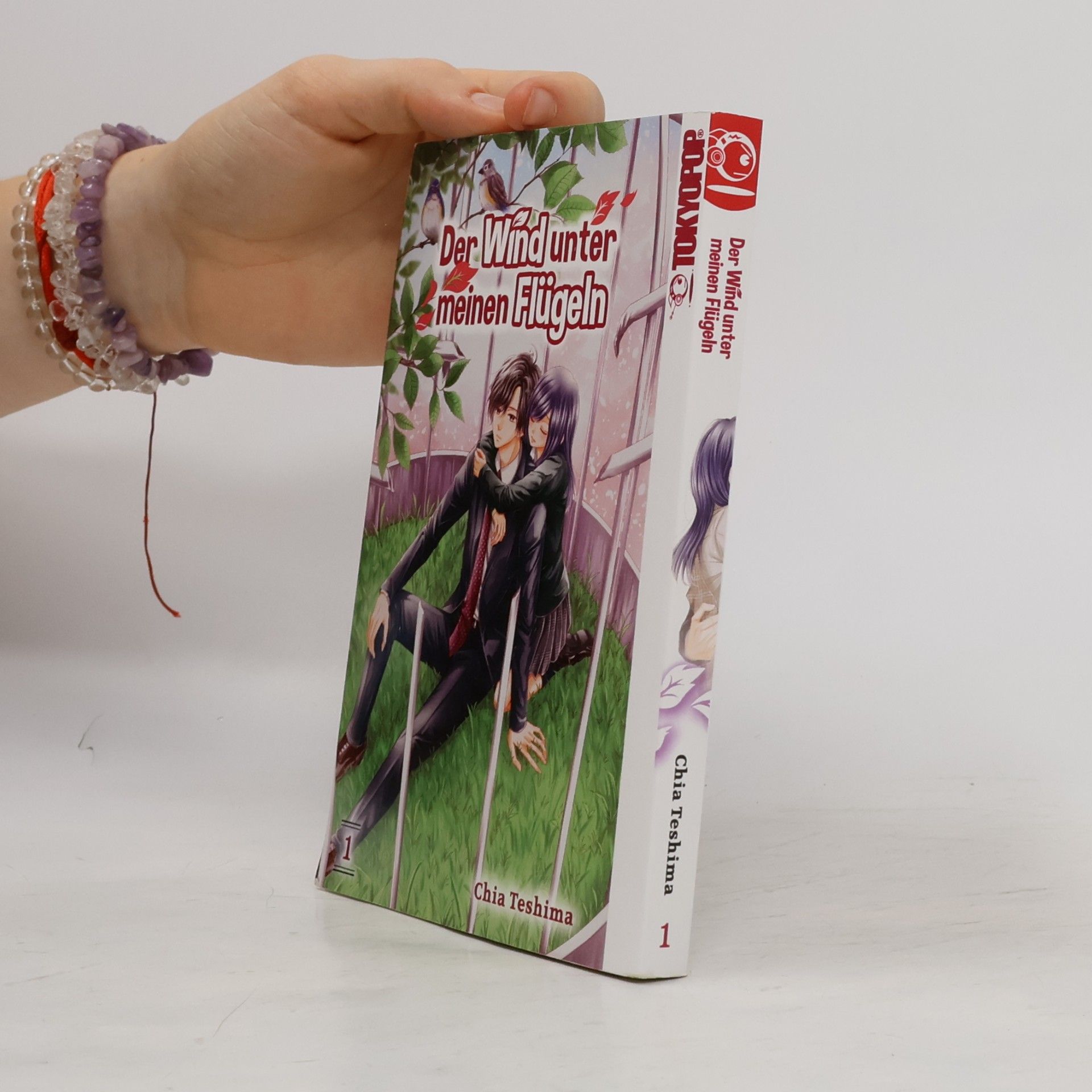 Chia Teshima Der Wind unter meinen Flügeln 01
