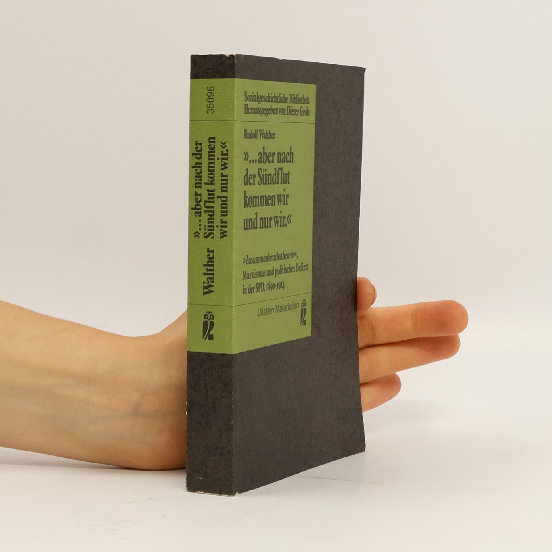 Rudolf Walther Sozialgeschichtliche Bibliothek: ... aber nach der Sündflut kommen wir und nur wir