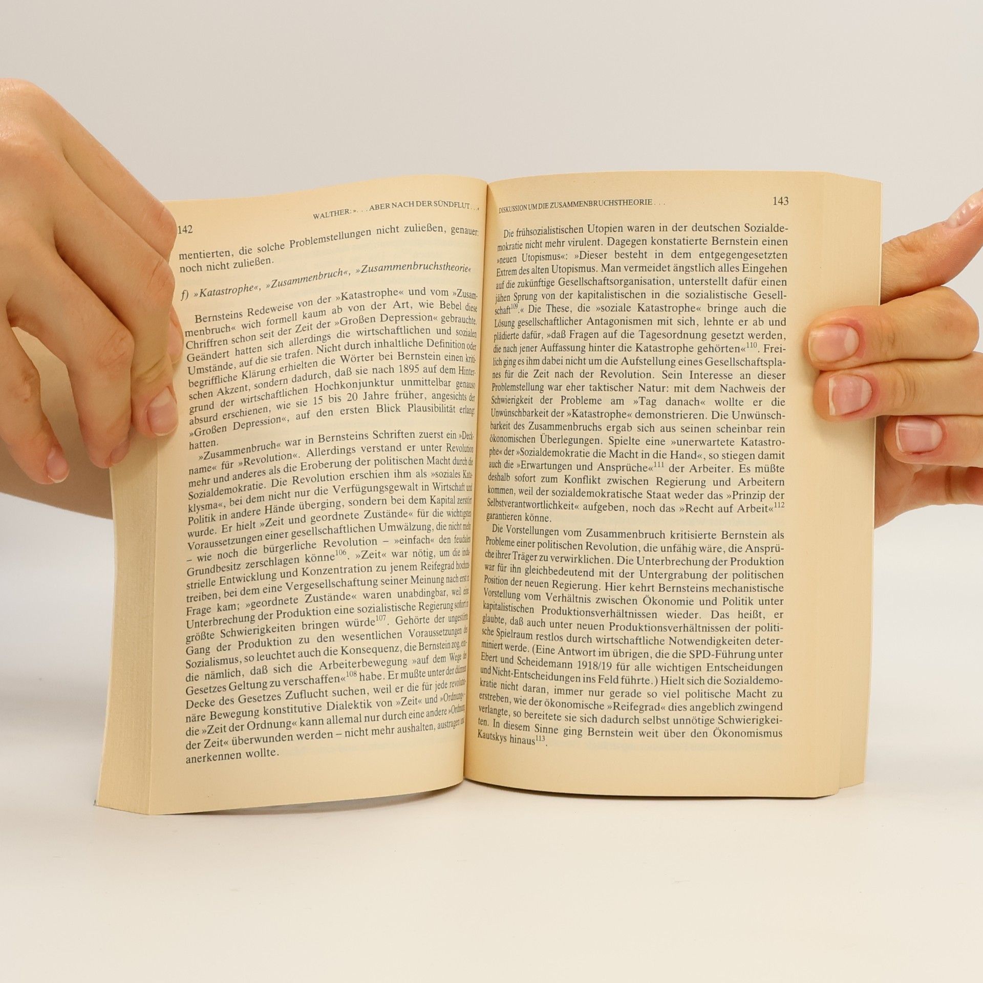 Rudolf Walther Sozialgeschichtliche Bibliothek: ... aber nach der Sündflut kommen wir und nur wir