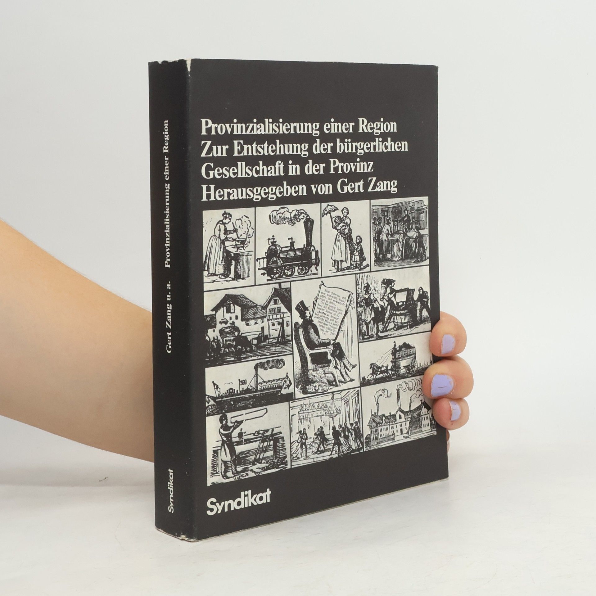 Provinzialisierung einer Region. Zur Entstehung der bürgerlichen Gesellschaft in der Provinz
