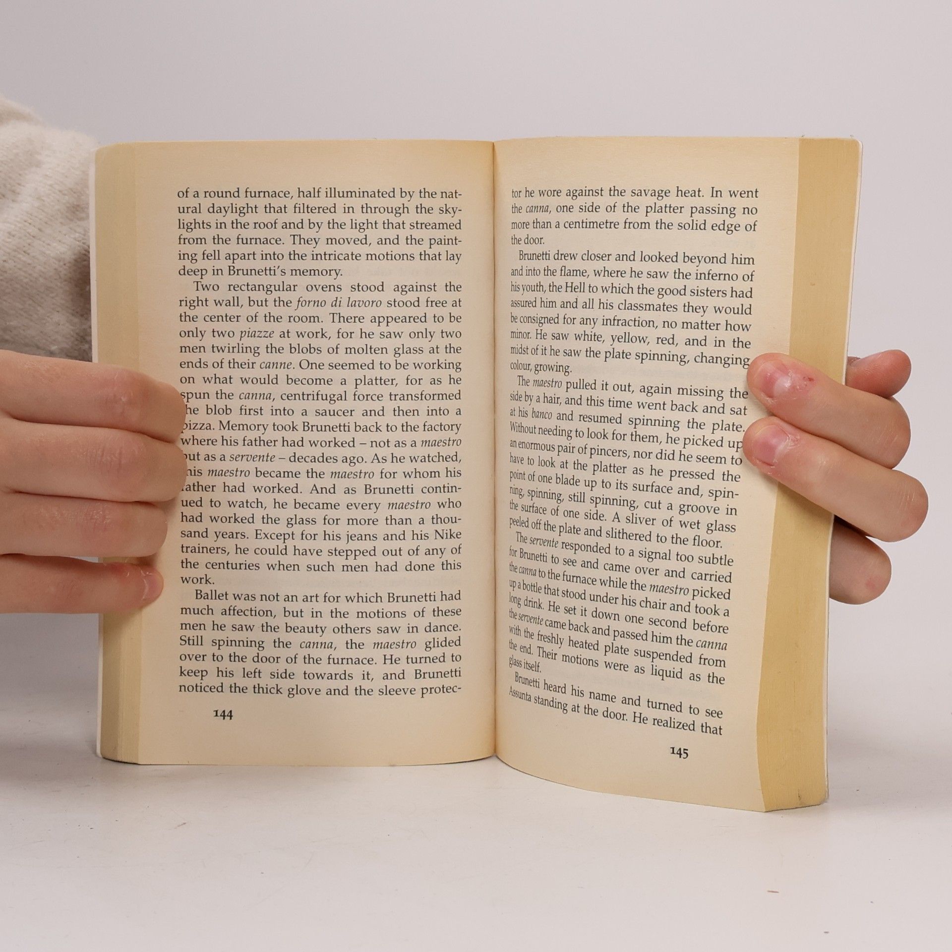 Donna Leon Through a Glass, Darkly