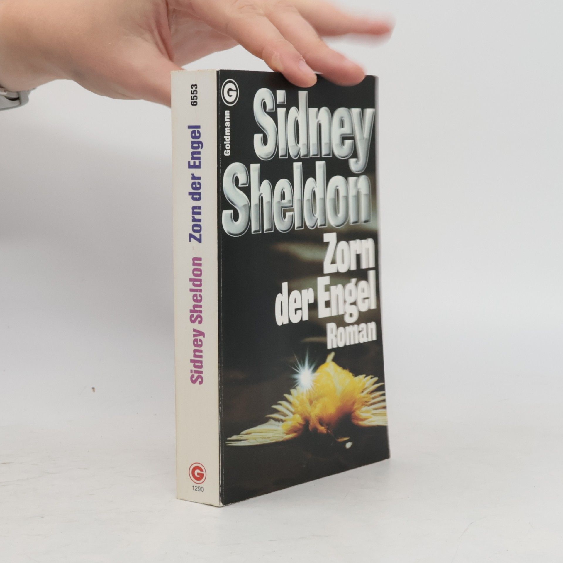 Sidney Sheldon Zorn der Engel