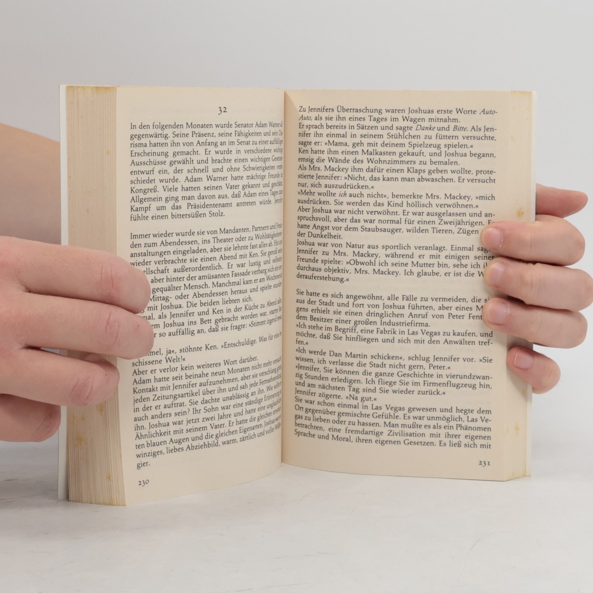 Sidney Sheldon Zorn der Engel