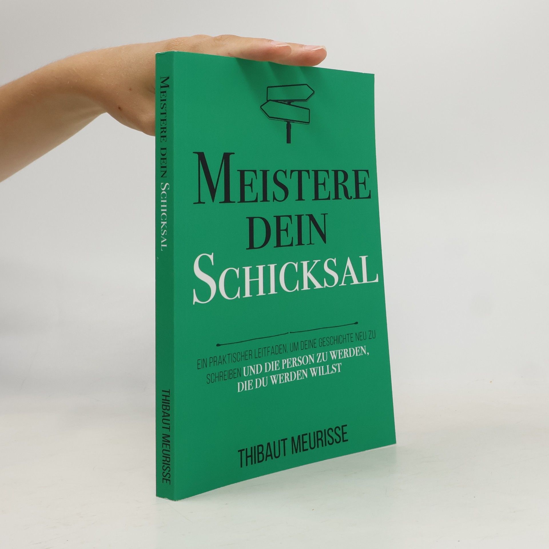 Meister Serie - 4: Meistere dein Schicksal