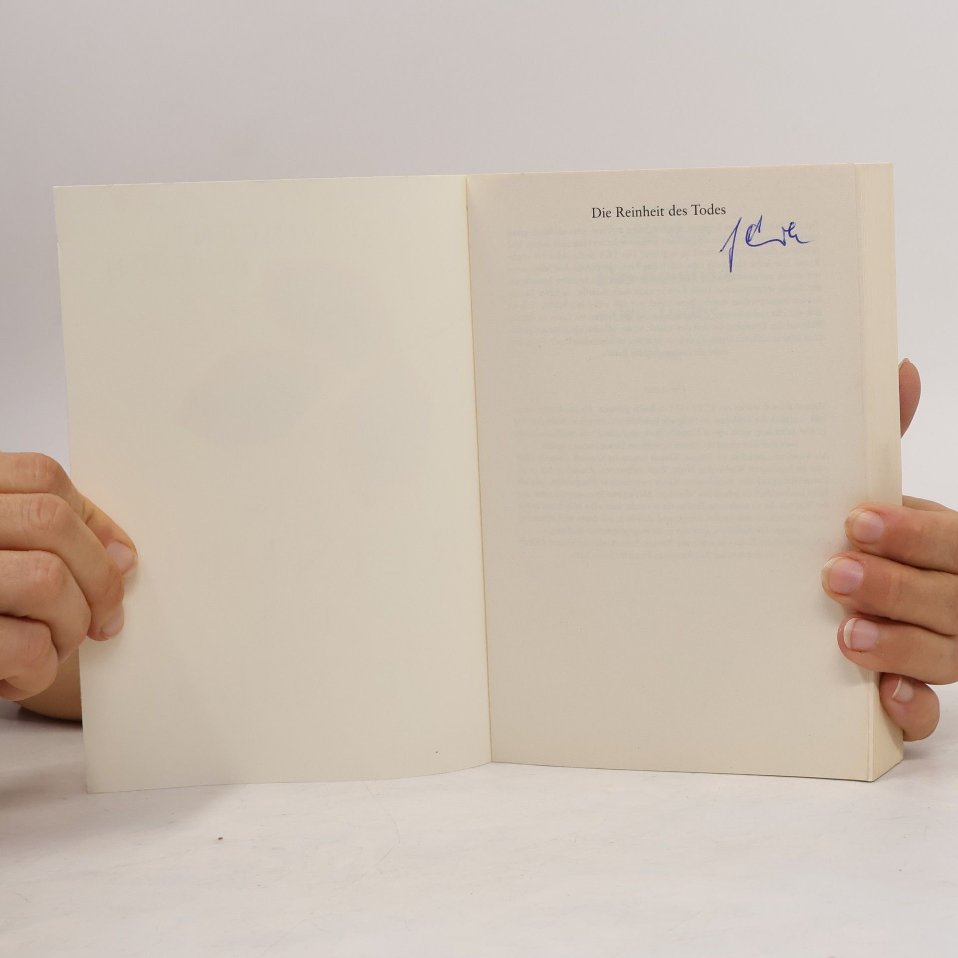Vincent Kliesch Die Reinheit des Todes