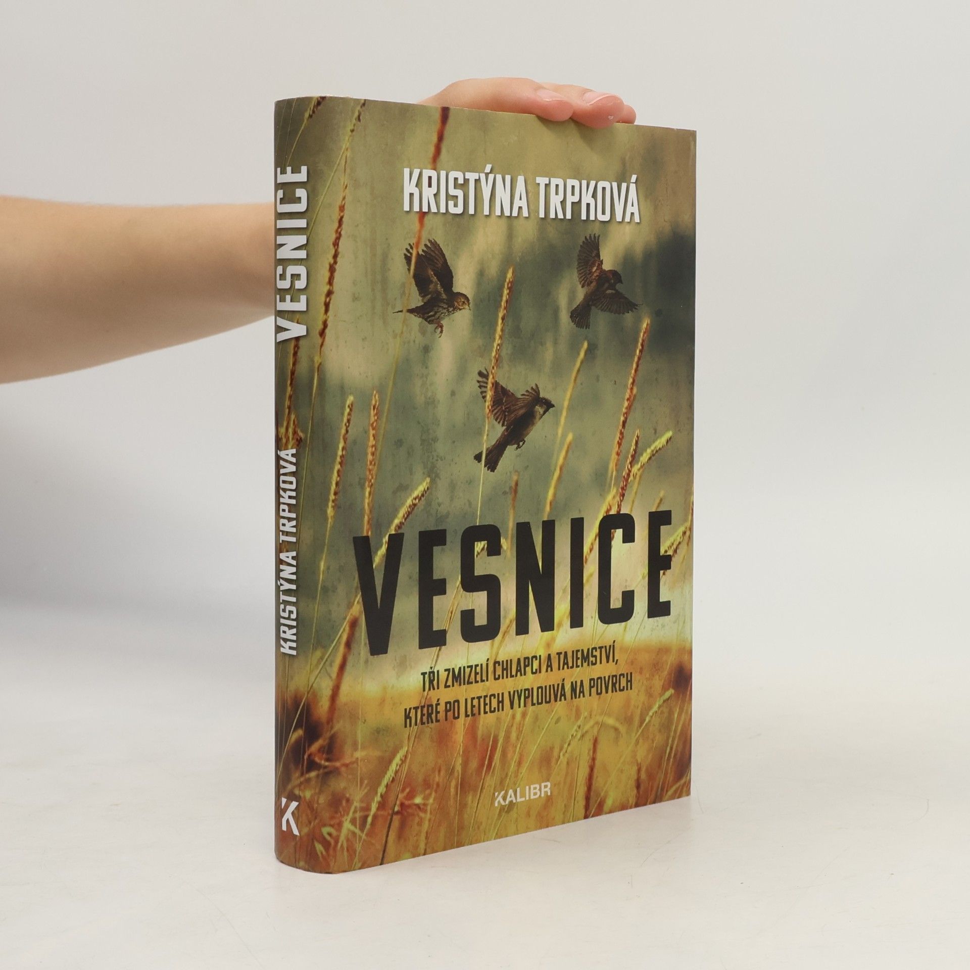 Kristýna Trpková Vesnice