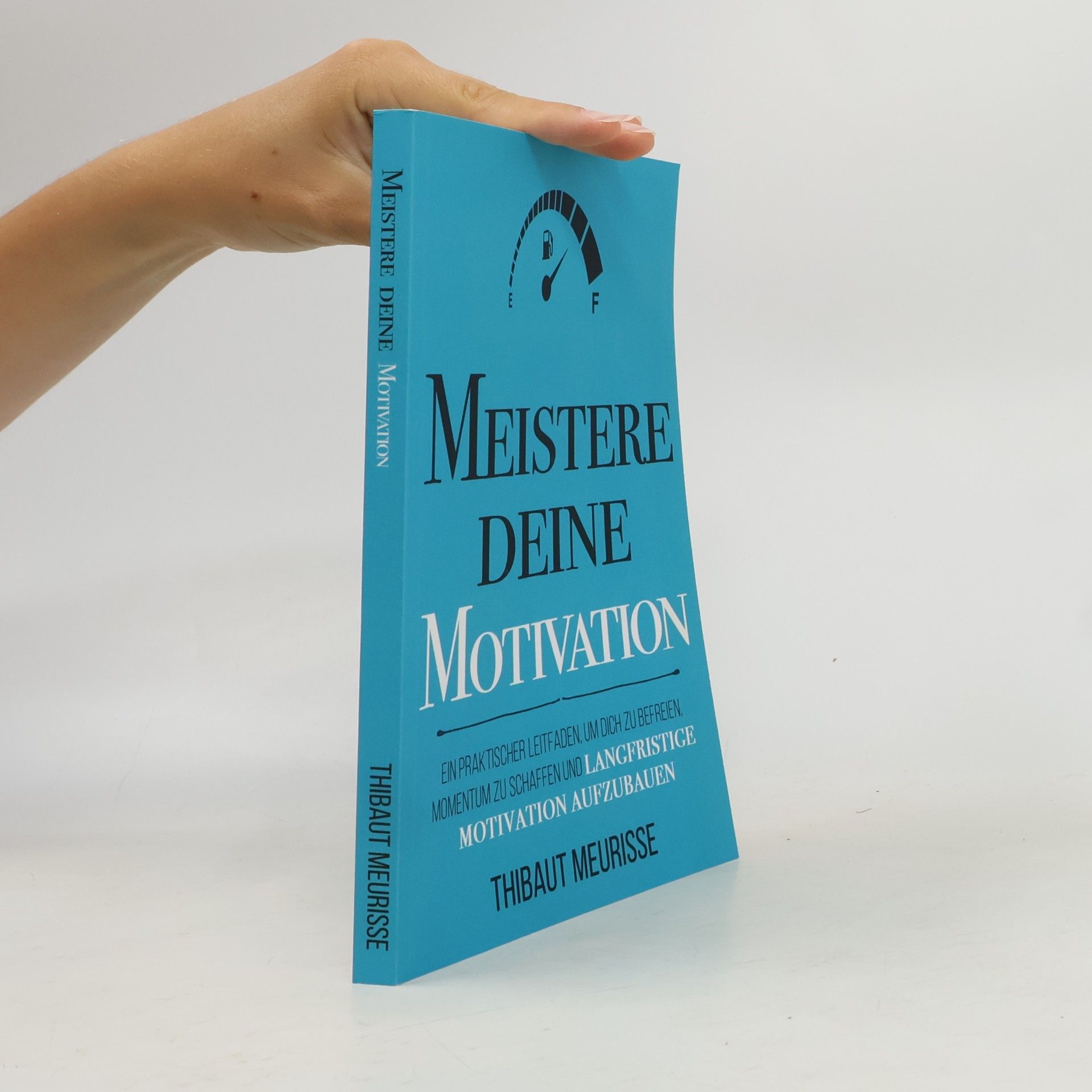 Meister Serie: Meistere Deine Motivation