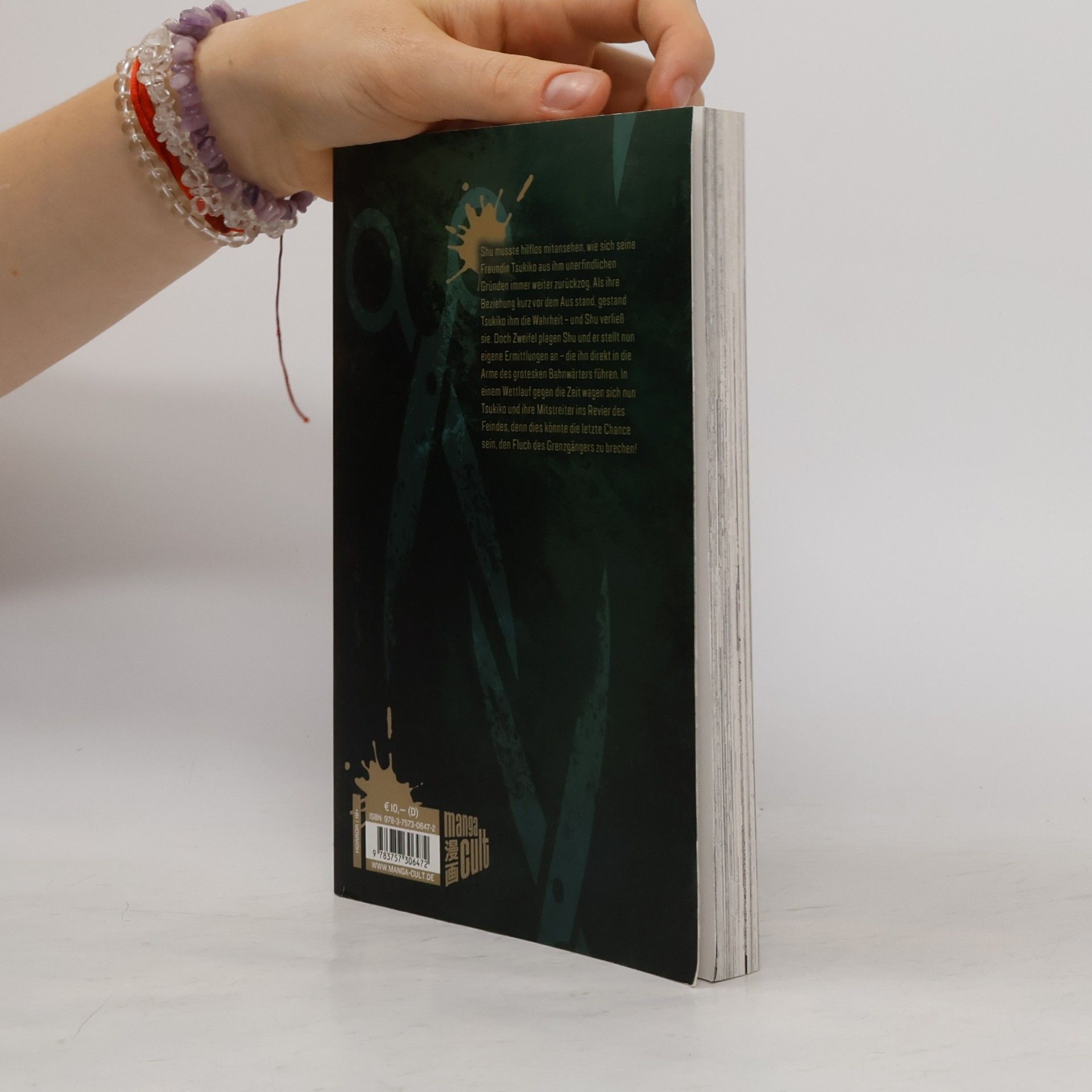 Yuhei Suzuki Haikaisha – Der Grenzgänger