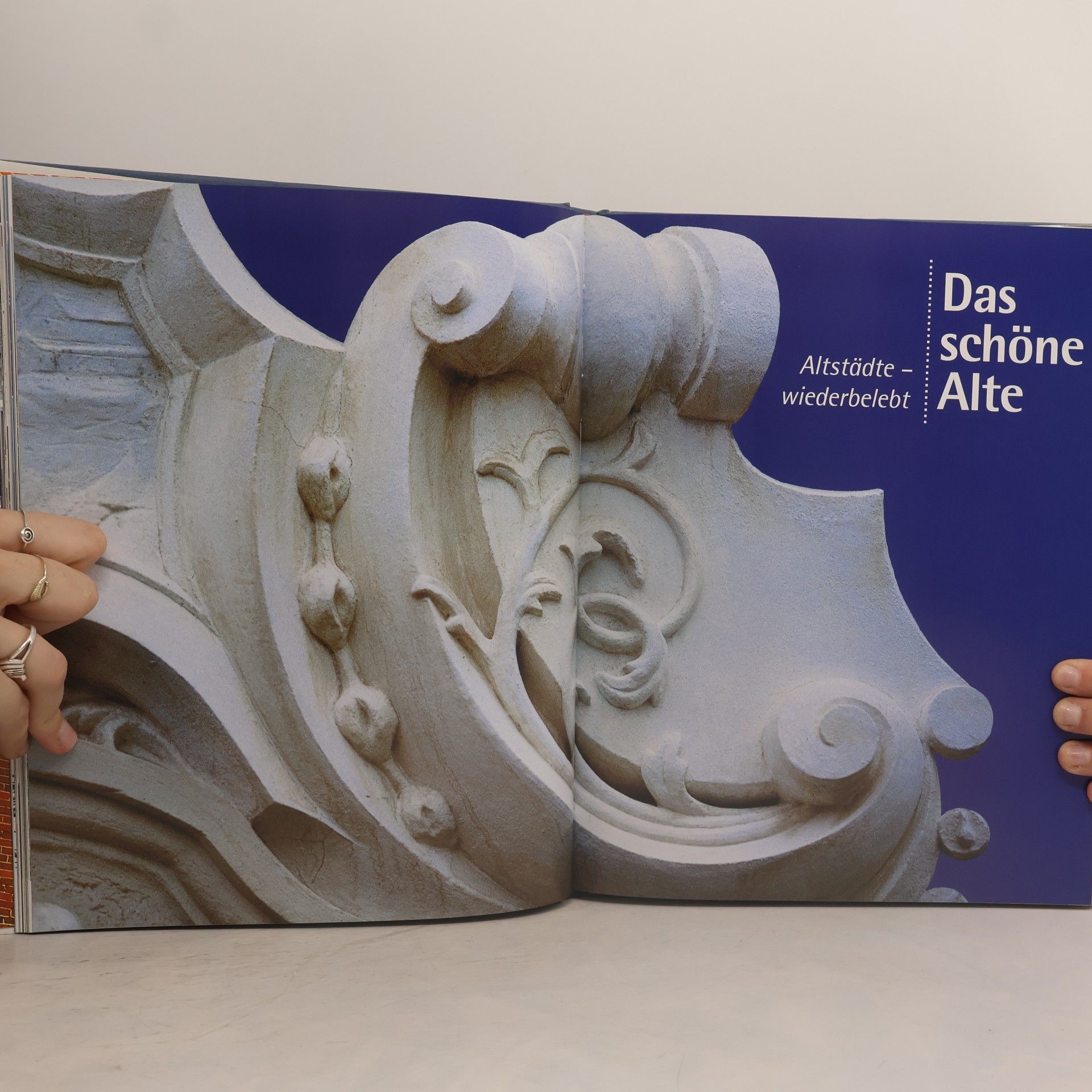 Collectif d'auteurs Die Statik der Träume