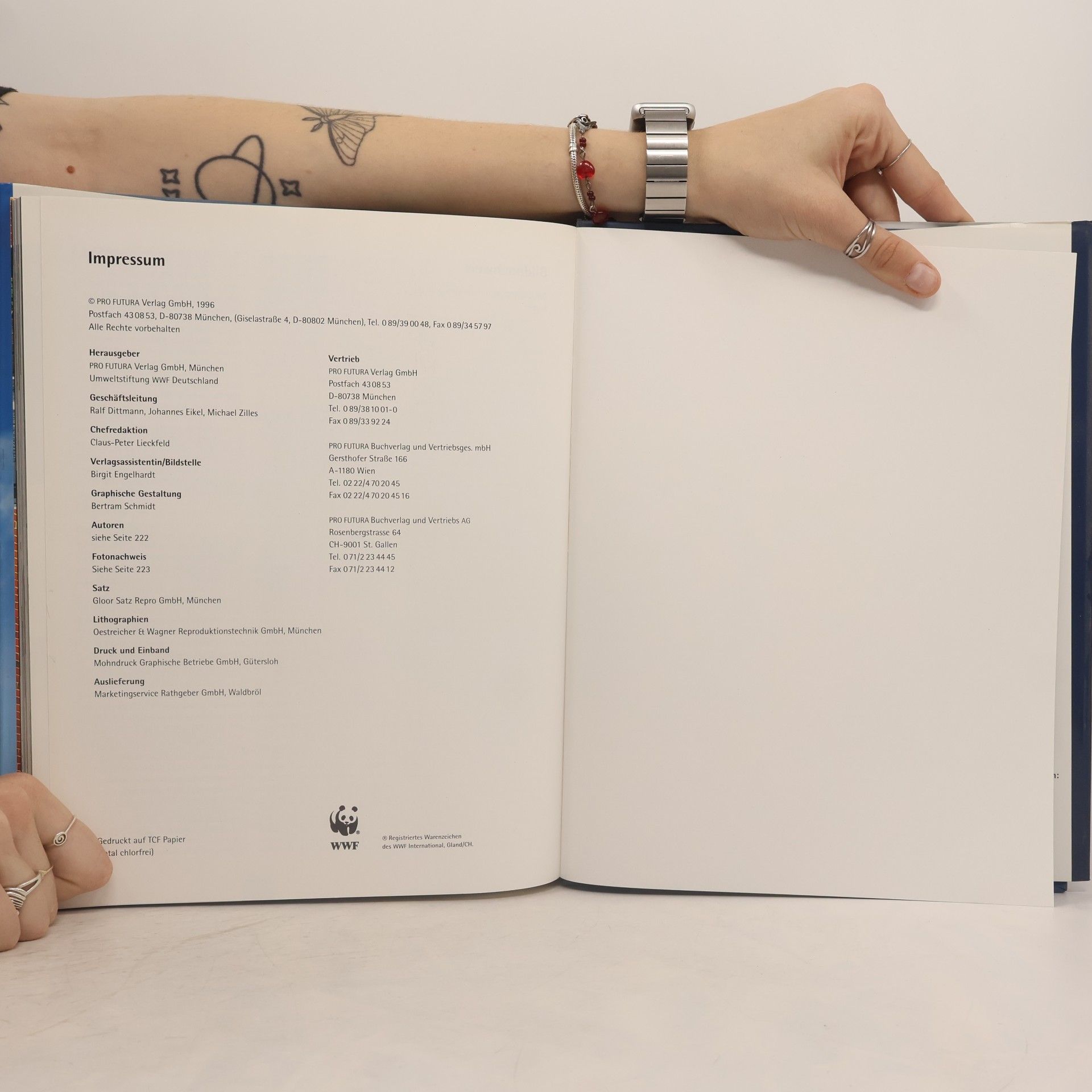 Collectif d'auteurs Die Statik der Träume