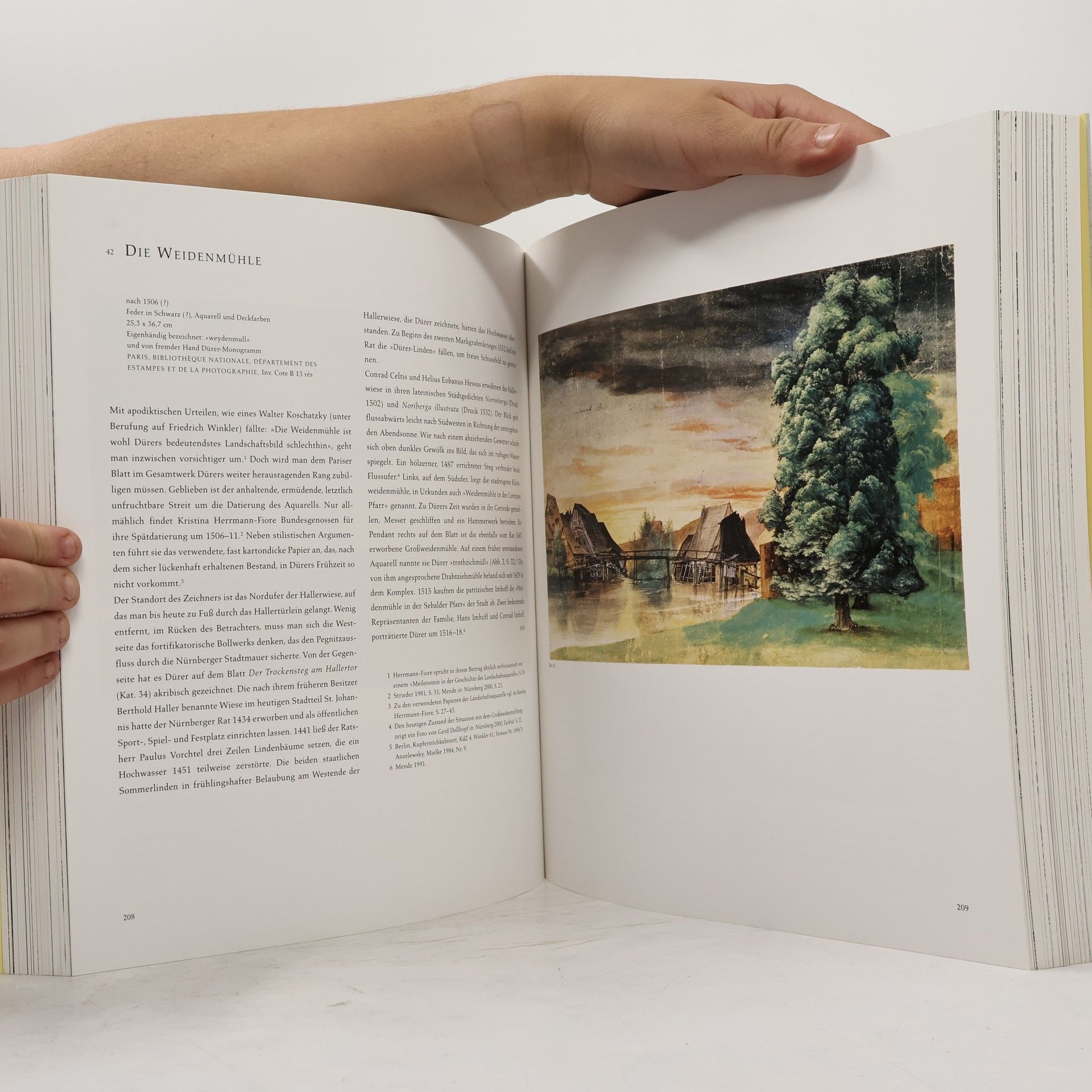 Various authors Albrecht Dürer