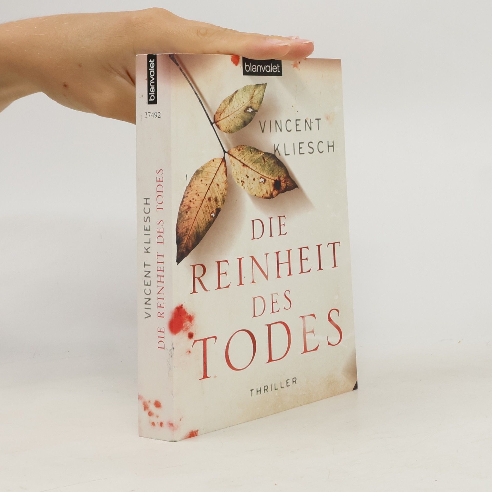 Vincent Kliesch Die Reinheit des Todes