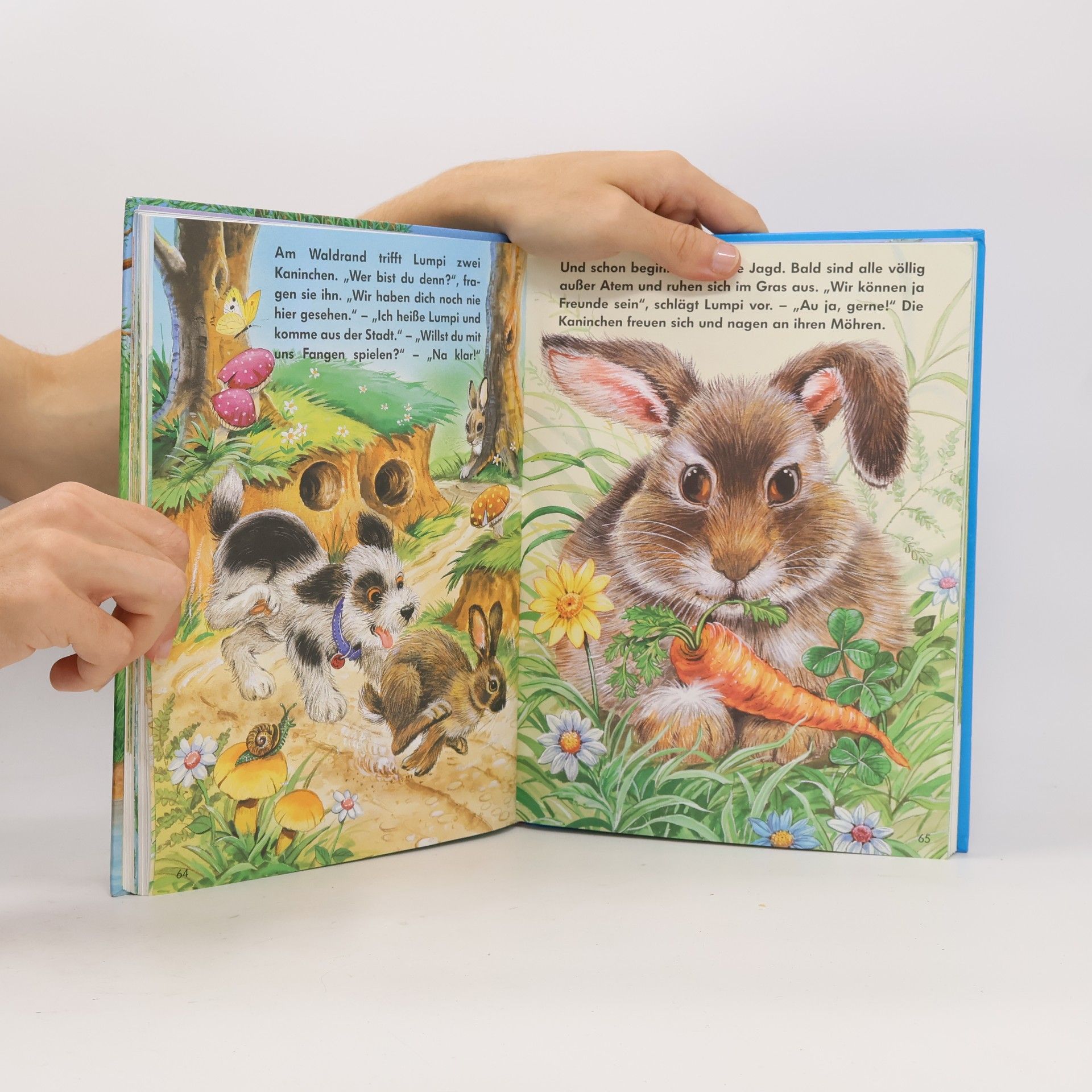 Bob Bampton Mein grosses Tiergeschichtenbuch
