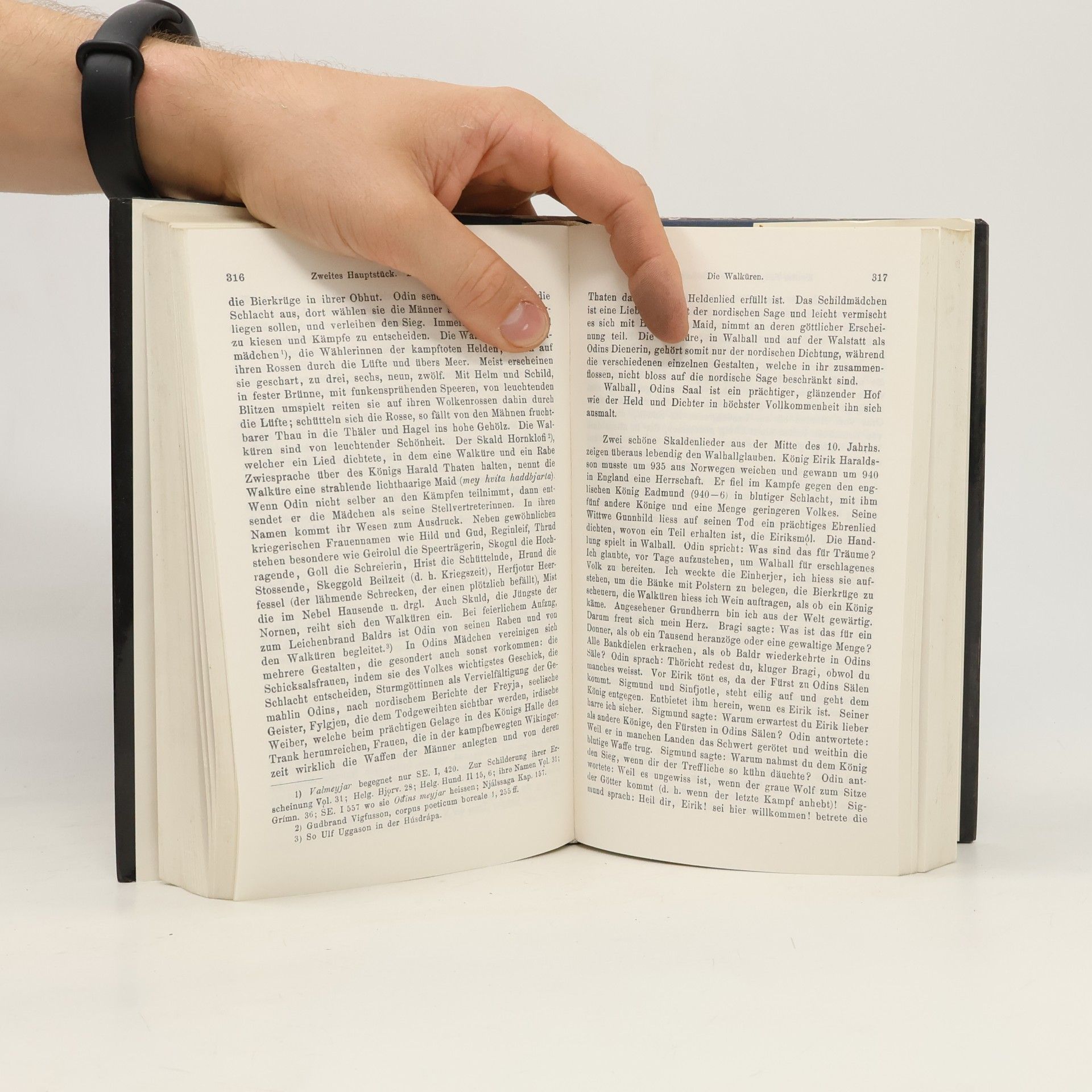 Wolfgang Golther Germanischen Mythologie: Handbuch