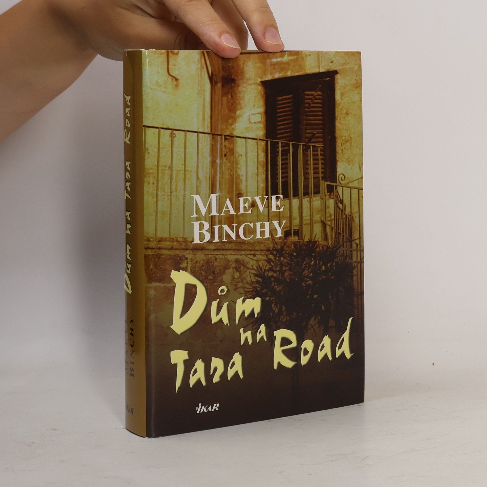 Maeve Binchy Dům na Tara Road