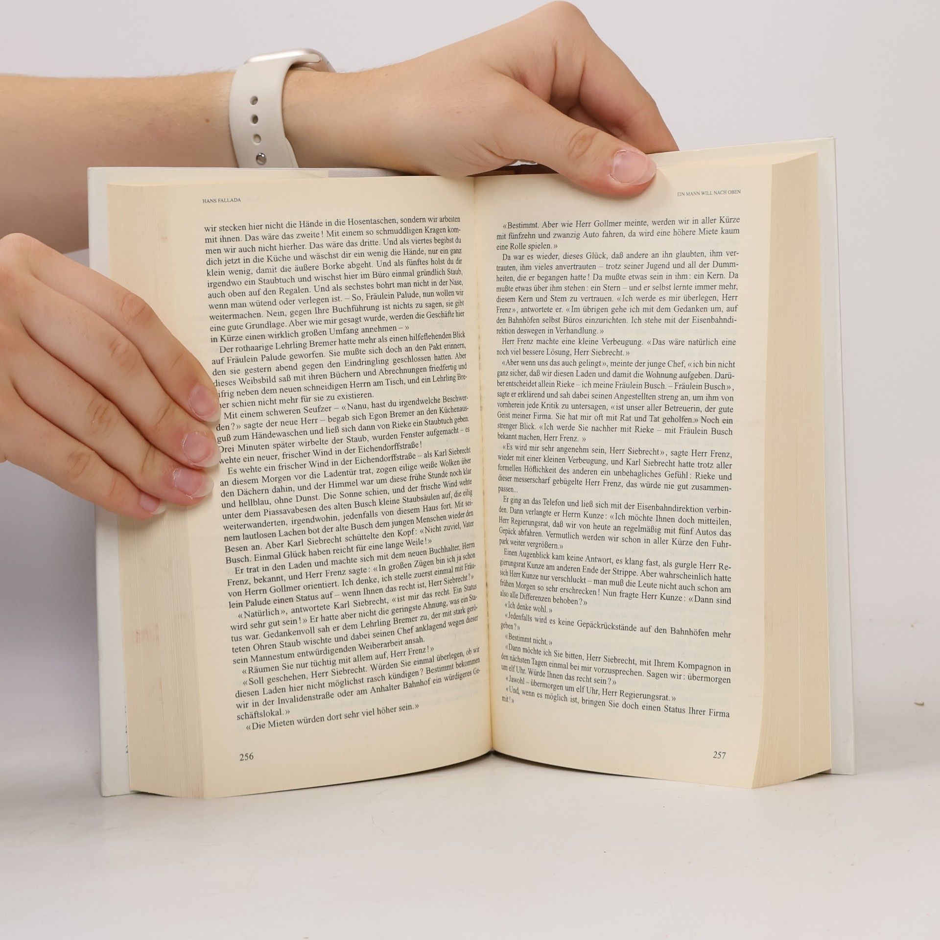 Hans Fallada Ein Mann will nach oben