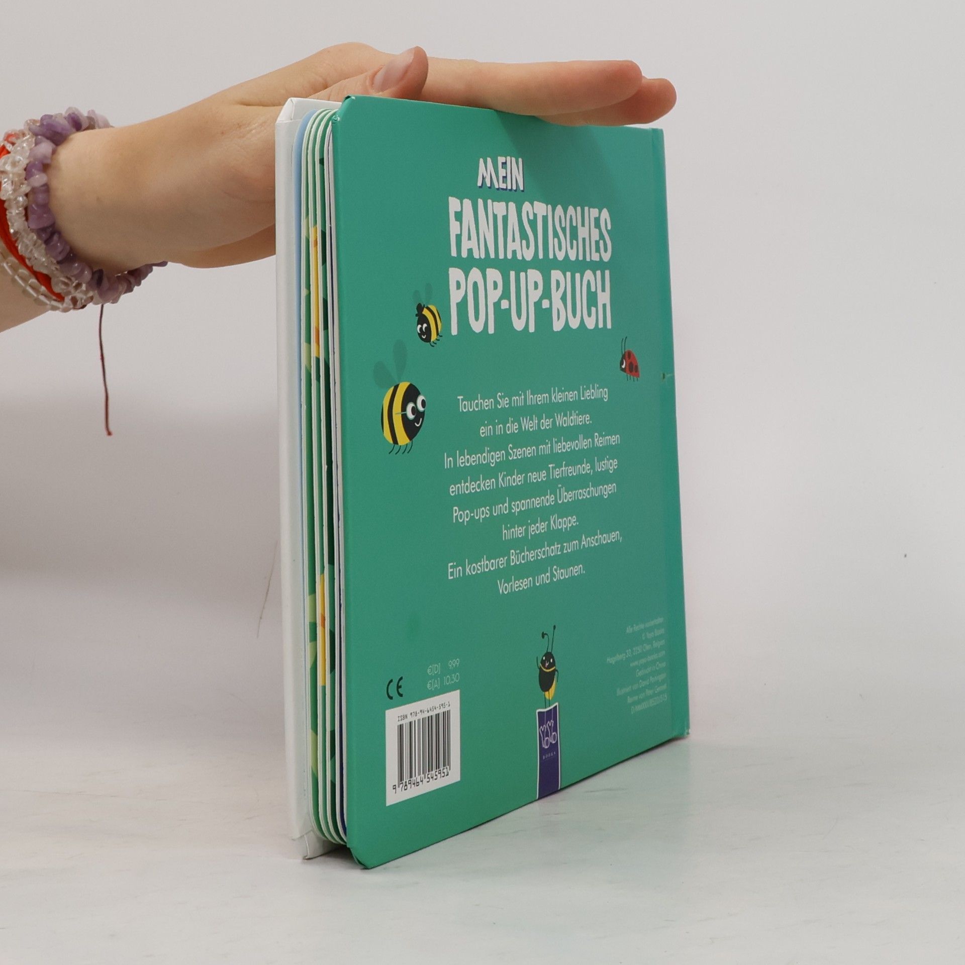 David Partington Mein fantastisches Pop-Up-Buch - Tiere im Wald