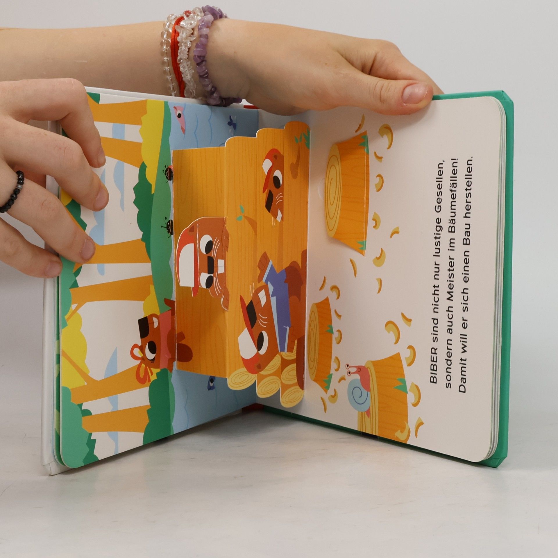 David Partington Mein fantastisches Pop-Up-Buch - Tiere im Wald