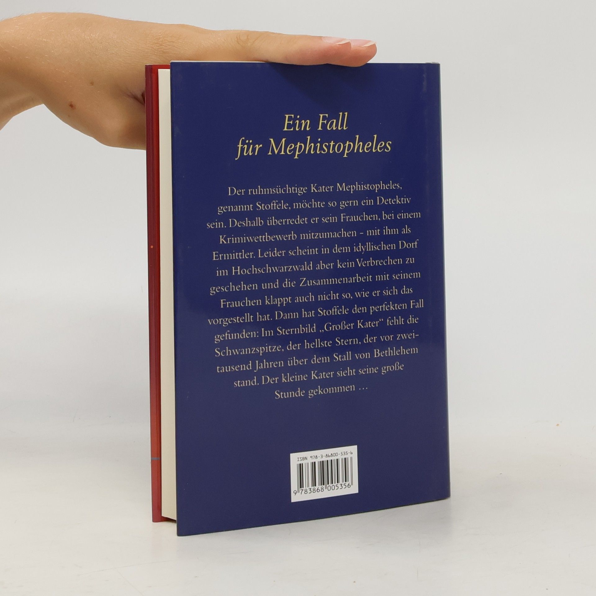 Eva Berberich Ein himmlischer Fall für vier Pfoten