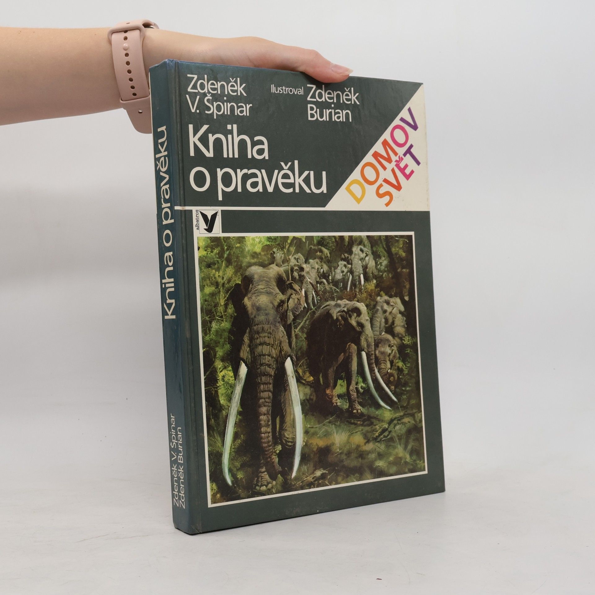 Kniha o pravěku