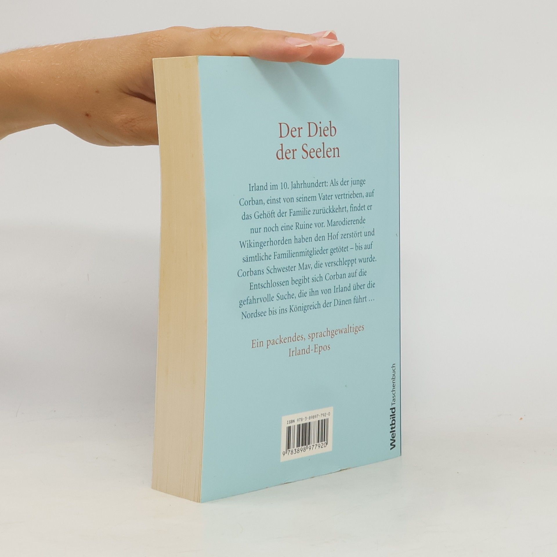 Cecelia Holland Der Dieb der Seelen