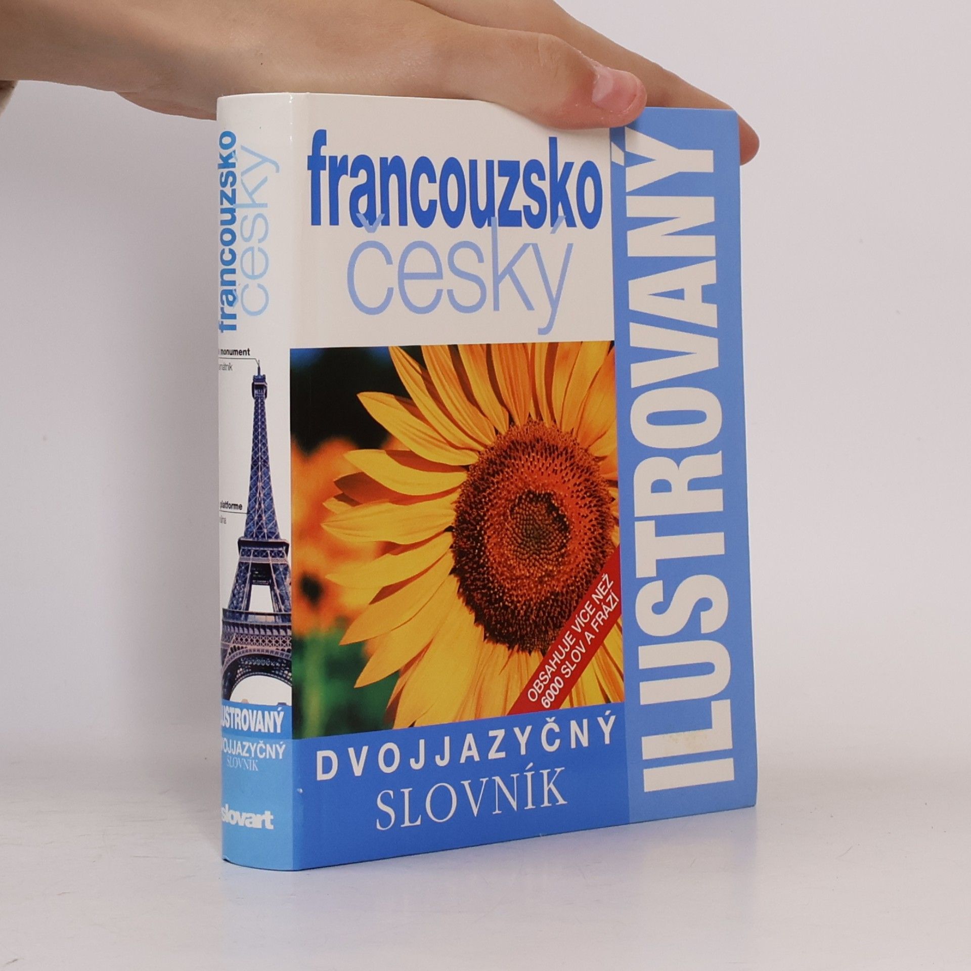 AA.VV. Francouzsko-český ilustrovaný slovník