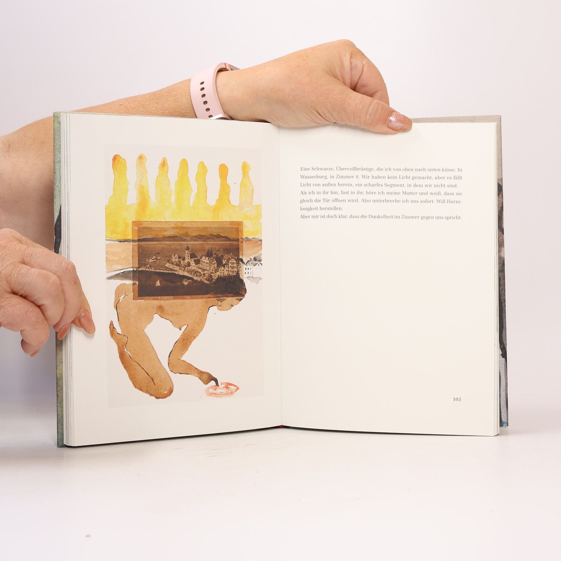 Martin Walser Das Traumbuch
