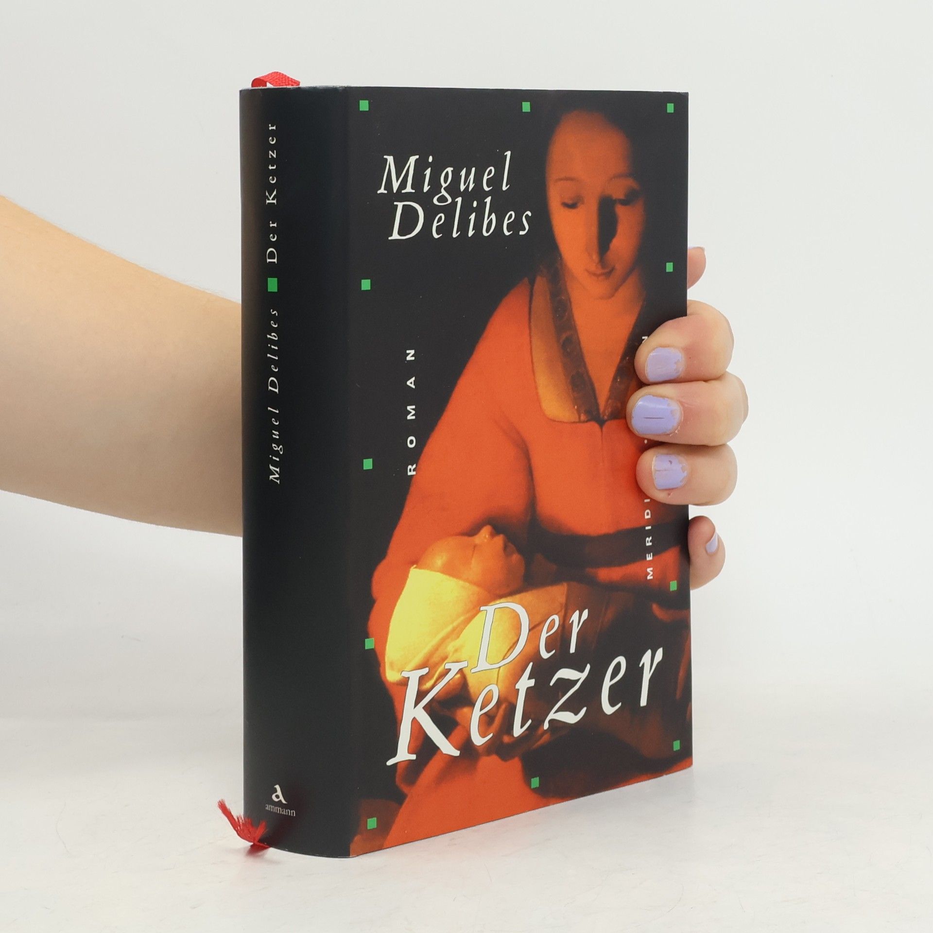 Miguel Delibes Der Ketzer
