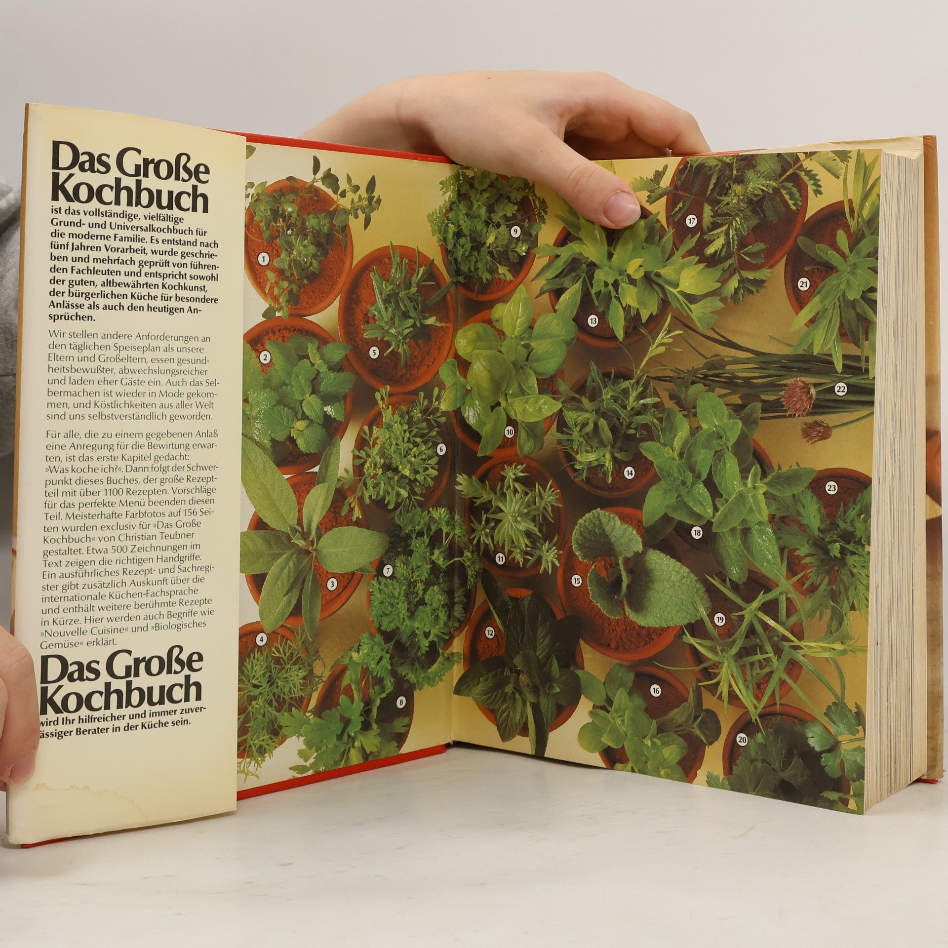 Annette Wolter Das Grosse Kochbuch