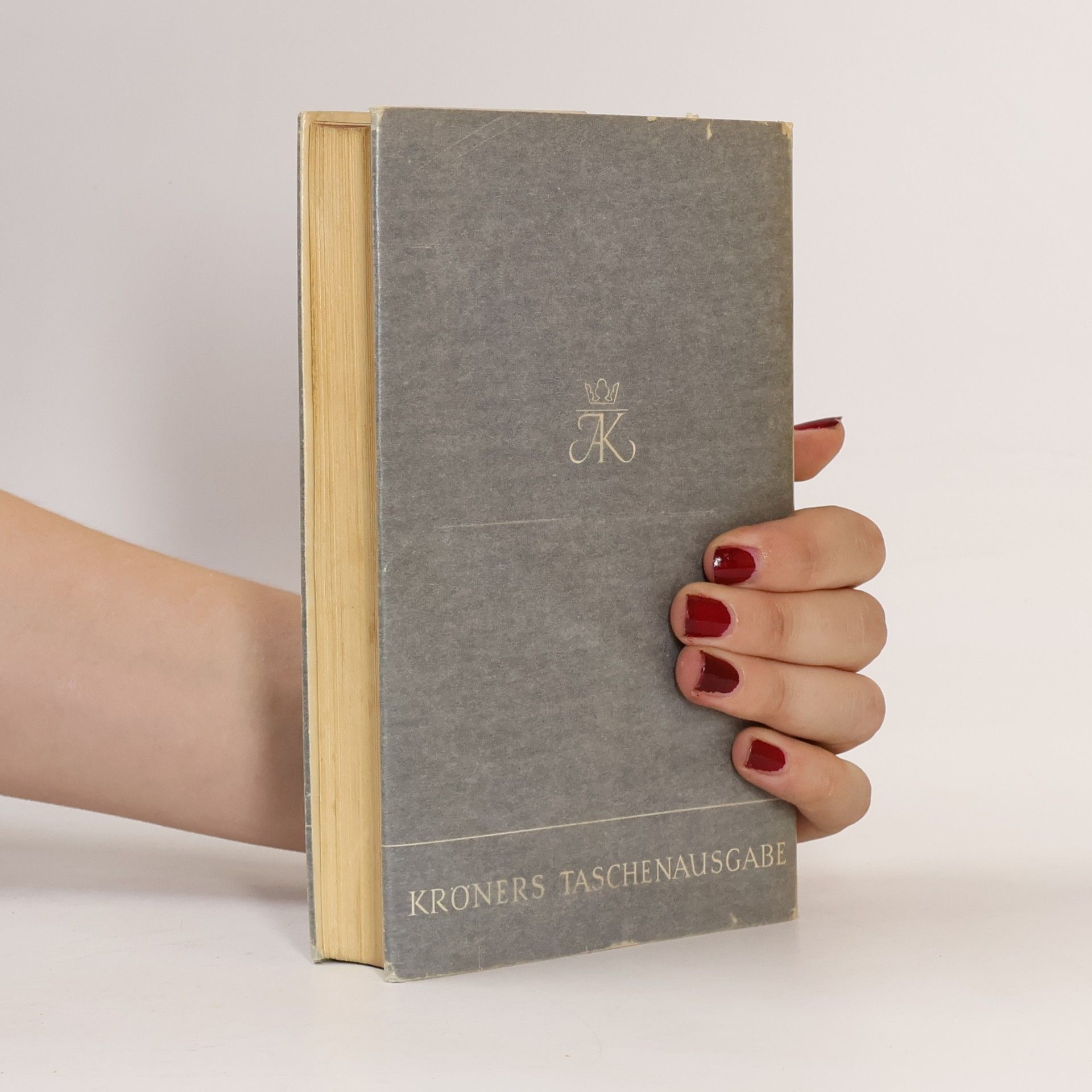 Collectif d'auteurs Das Nibelungen Lied