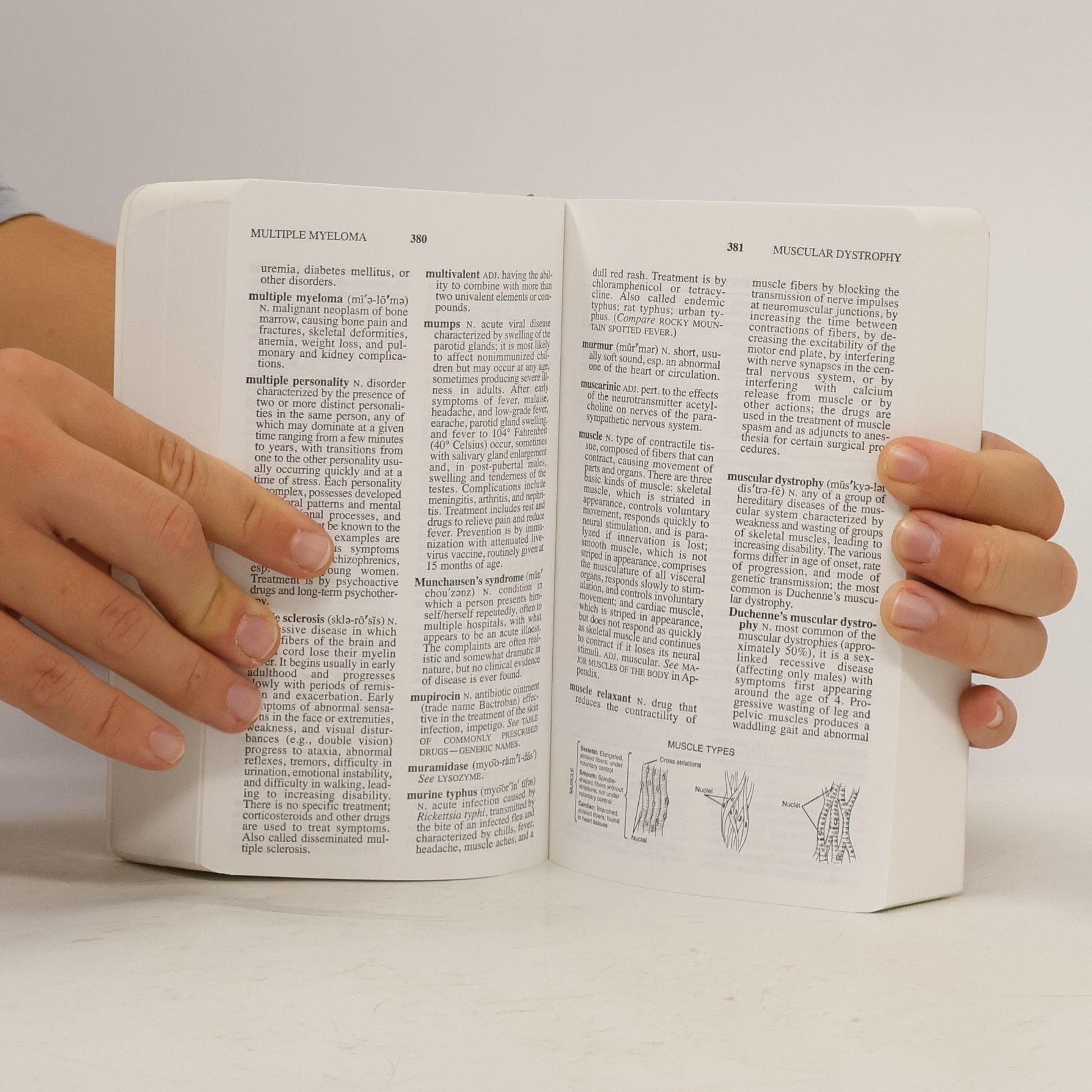 Mikel A. Rothenberg Barron's Medical Guide: Dictionary of Medical Terms