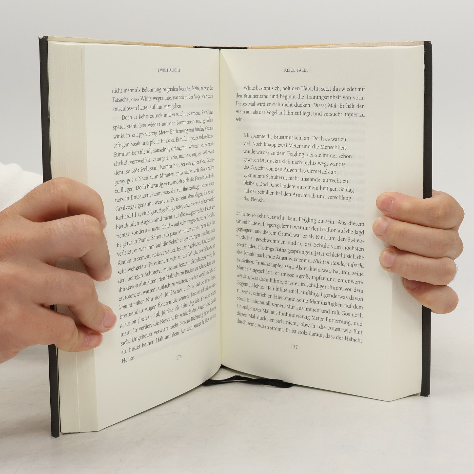 Helen Macdonald H wie Habicht
