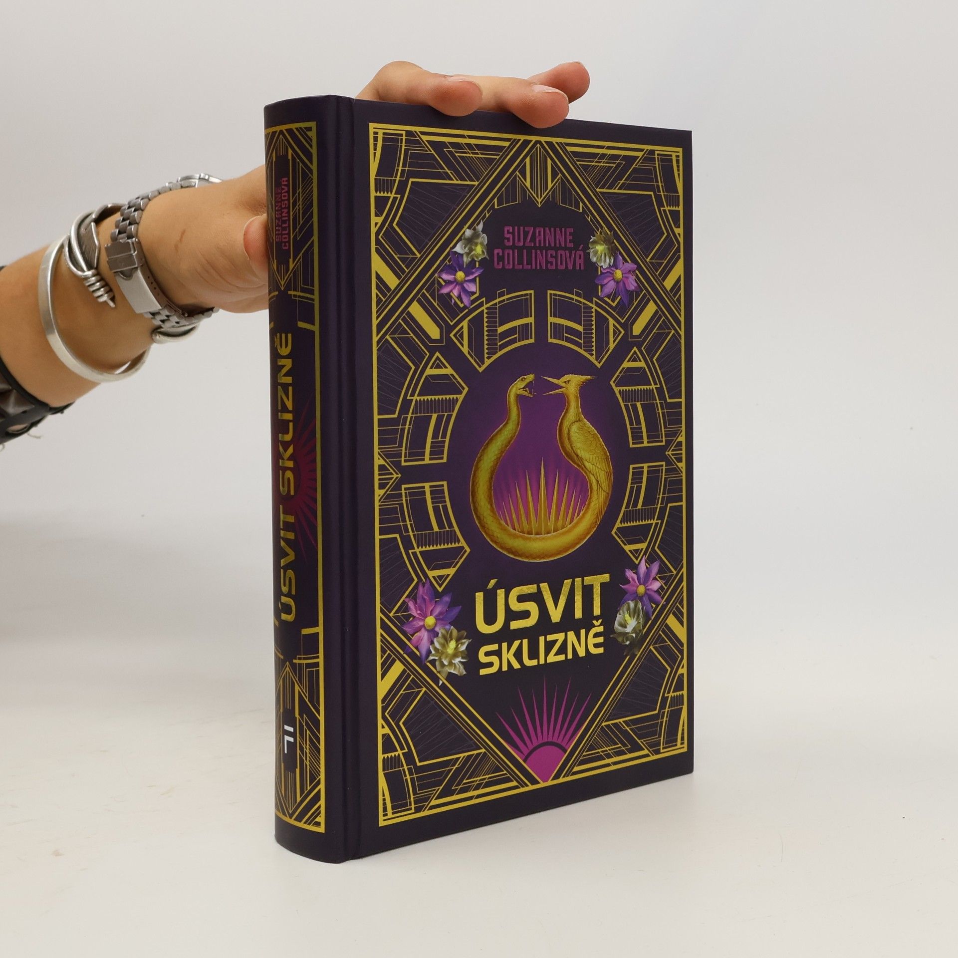 Suzanne Collins Úsvit sklizně