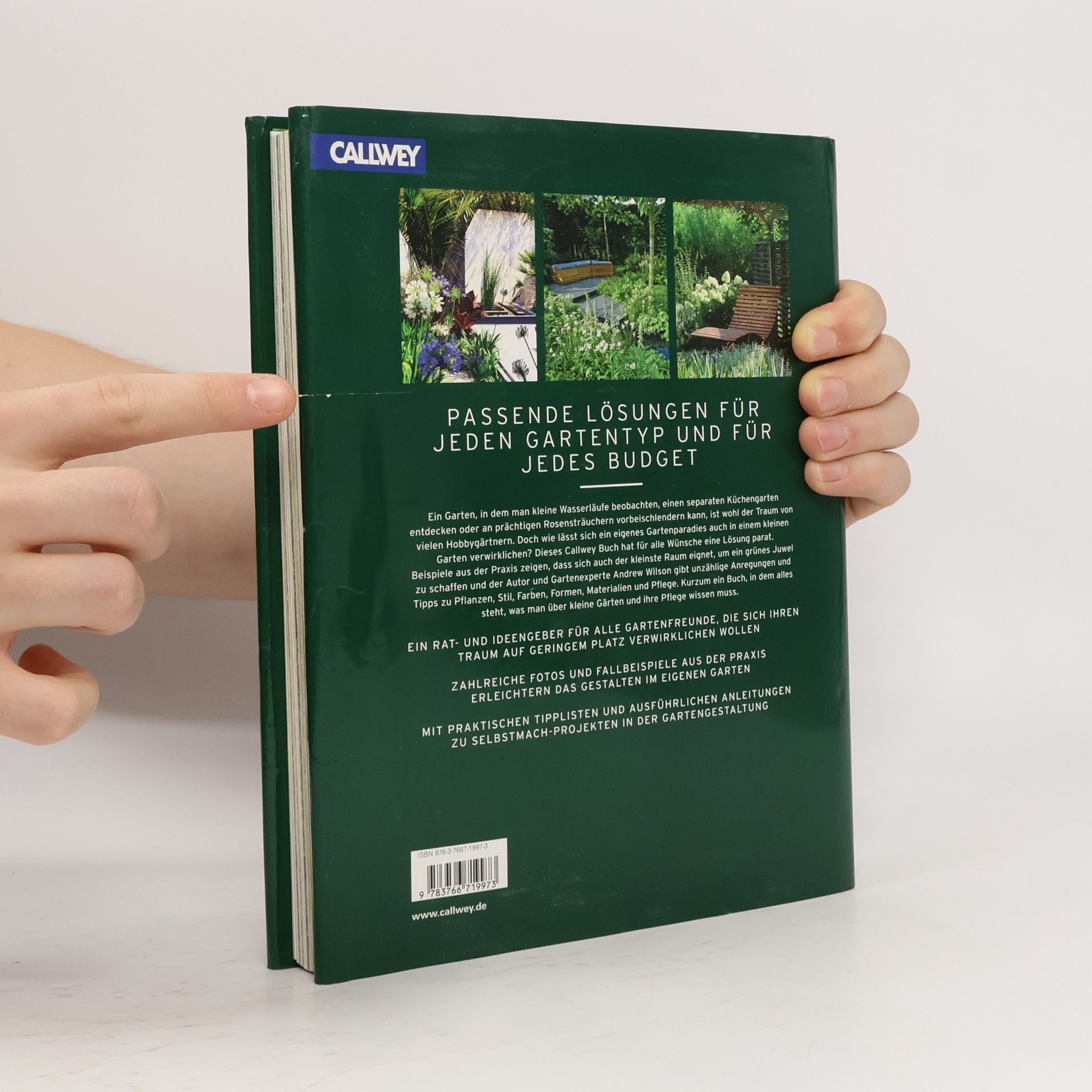 Andrew Wilson Handbuch Kleine Gärten