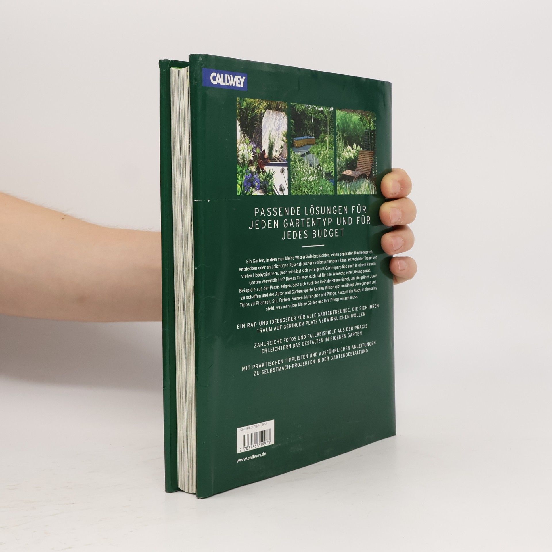 Andrew Wilson Handbuch Kleine Gärten