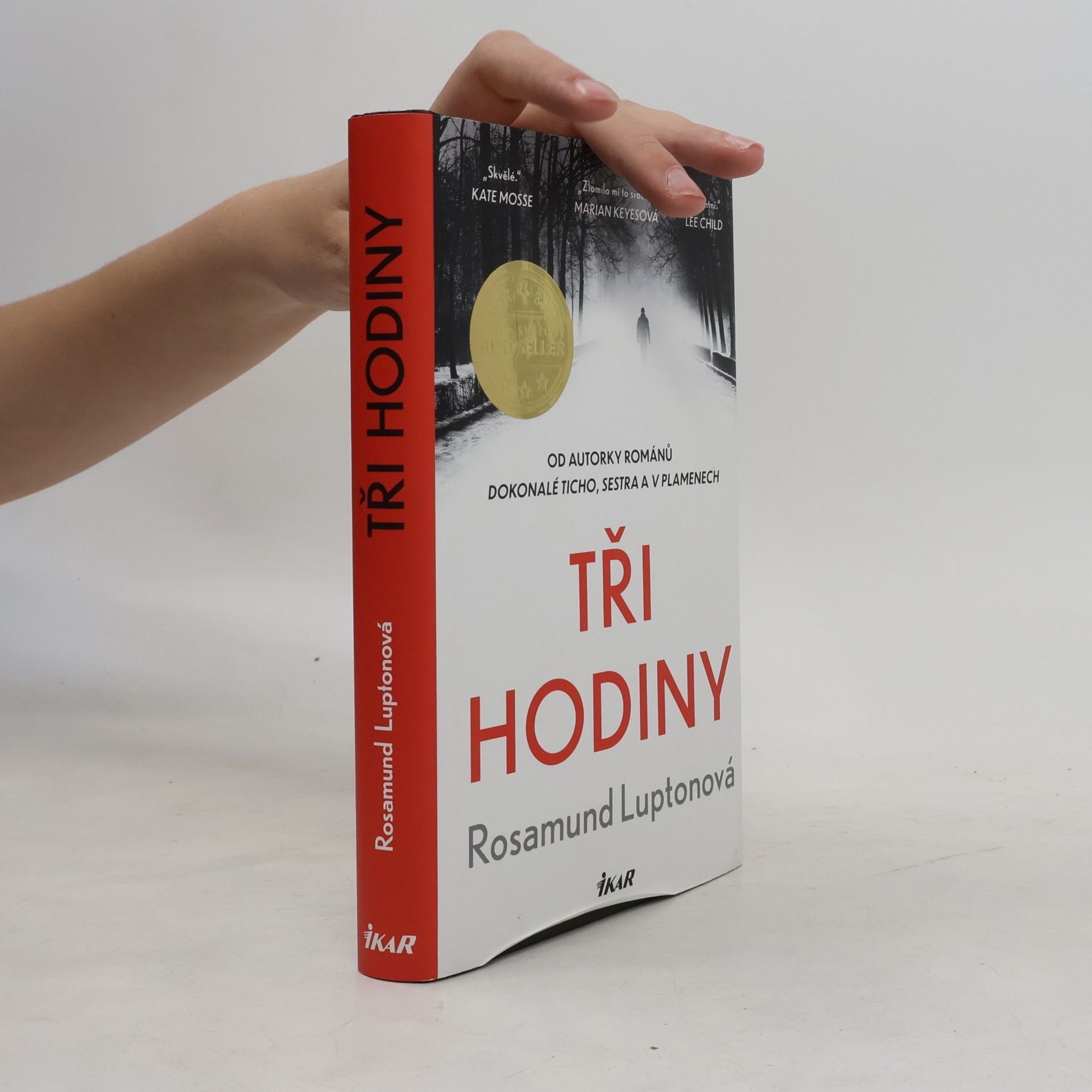 Rosamund Lupton Tři hodiny