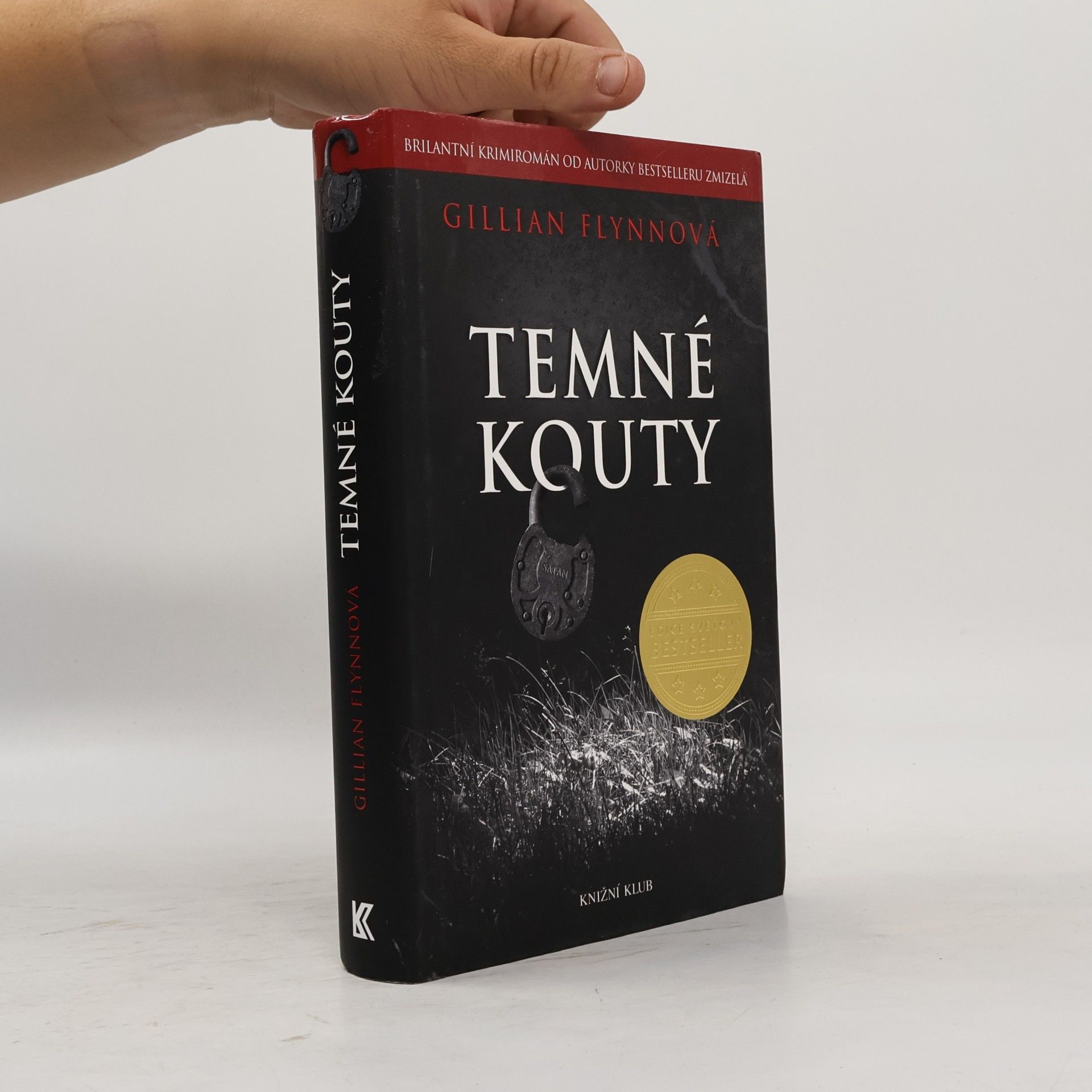 Gillian Flynn Temné kouty