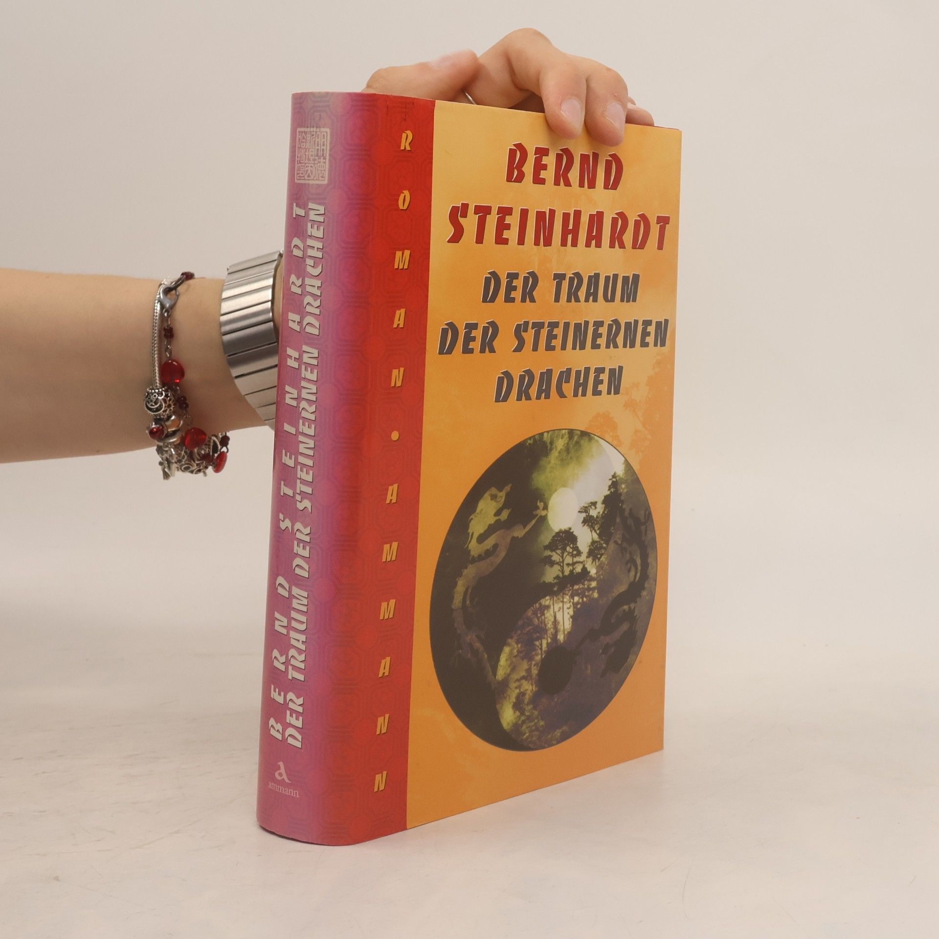 Bernd Steinhardt Der Traum der steinernen Drachen