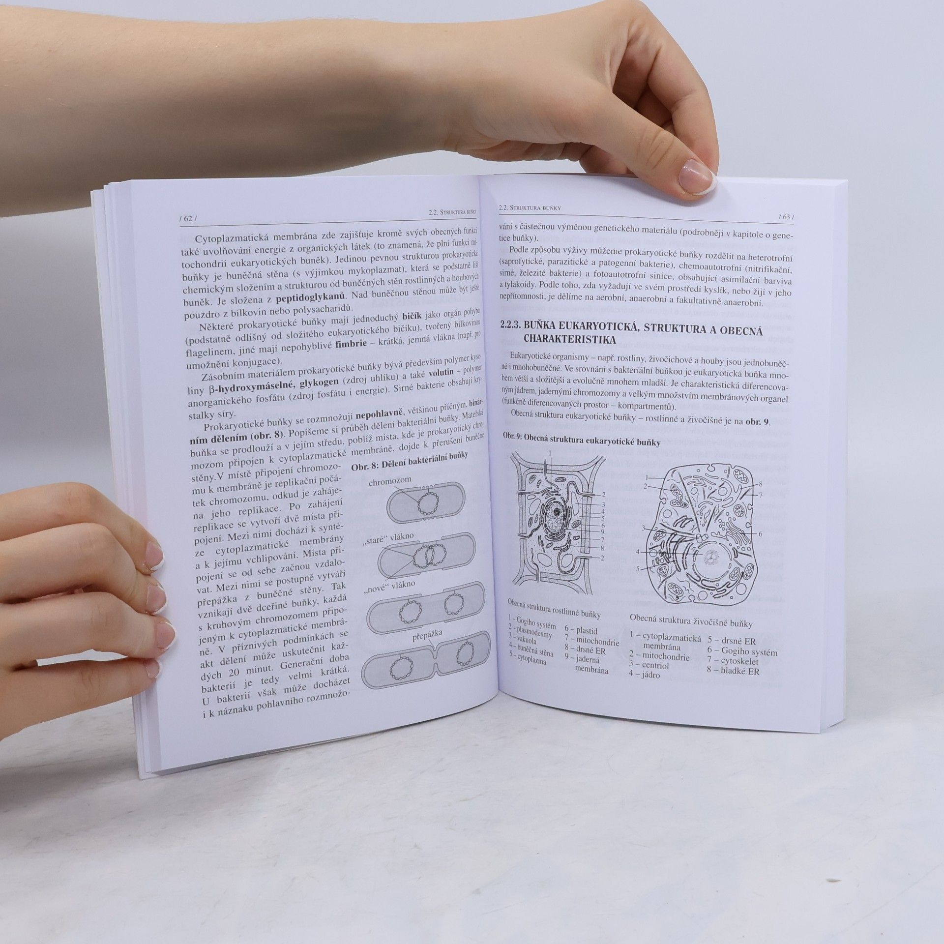 Chalupová - Karlovská, Vlastimila Obecná biologie: Evoluce, biologie buňky, genetika (2025)