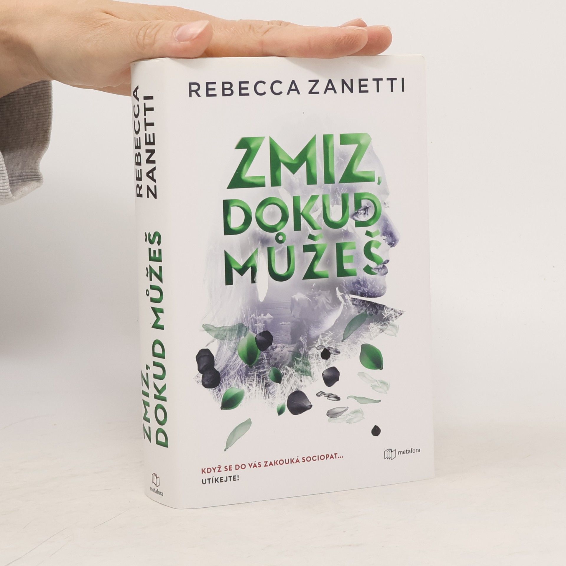 Rebecca Zanetti Zmiz, dokud můžeš