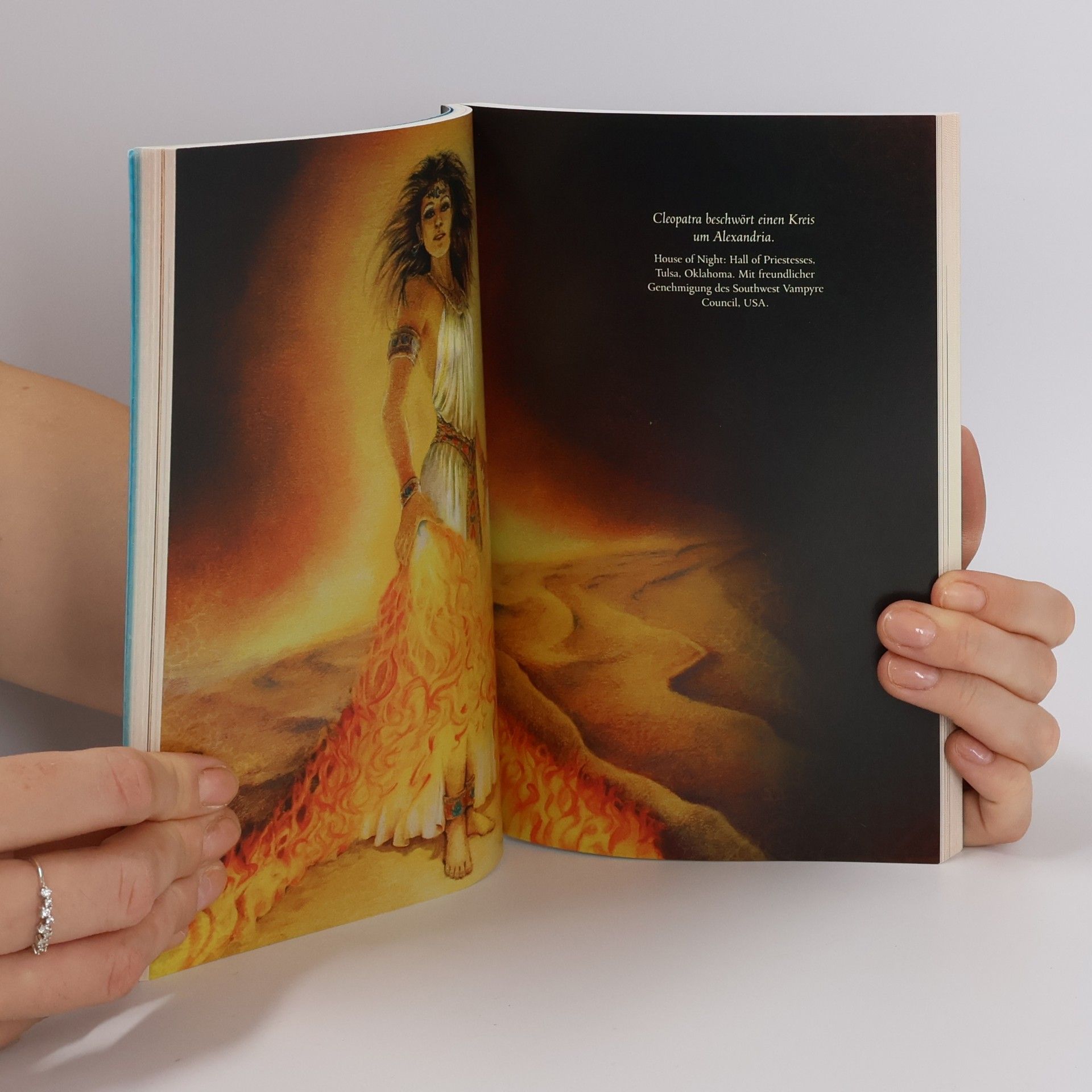 Phyllis Christine Cast Handbuch für Jungvampyre 101