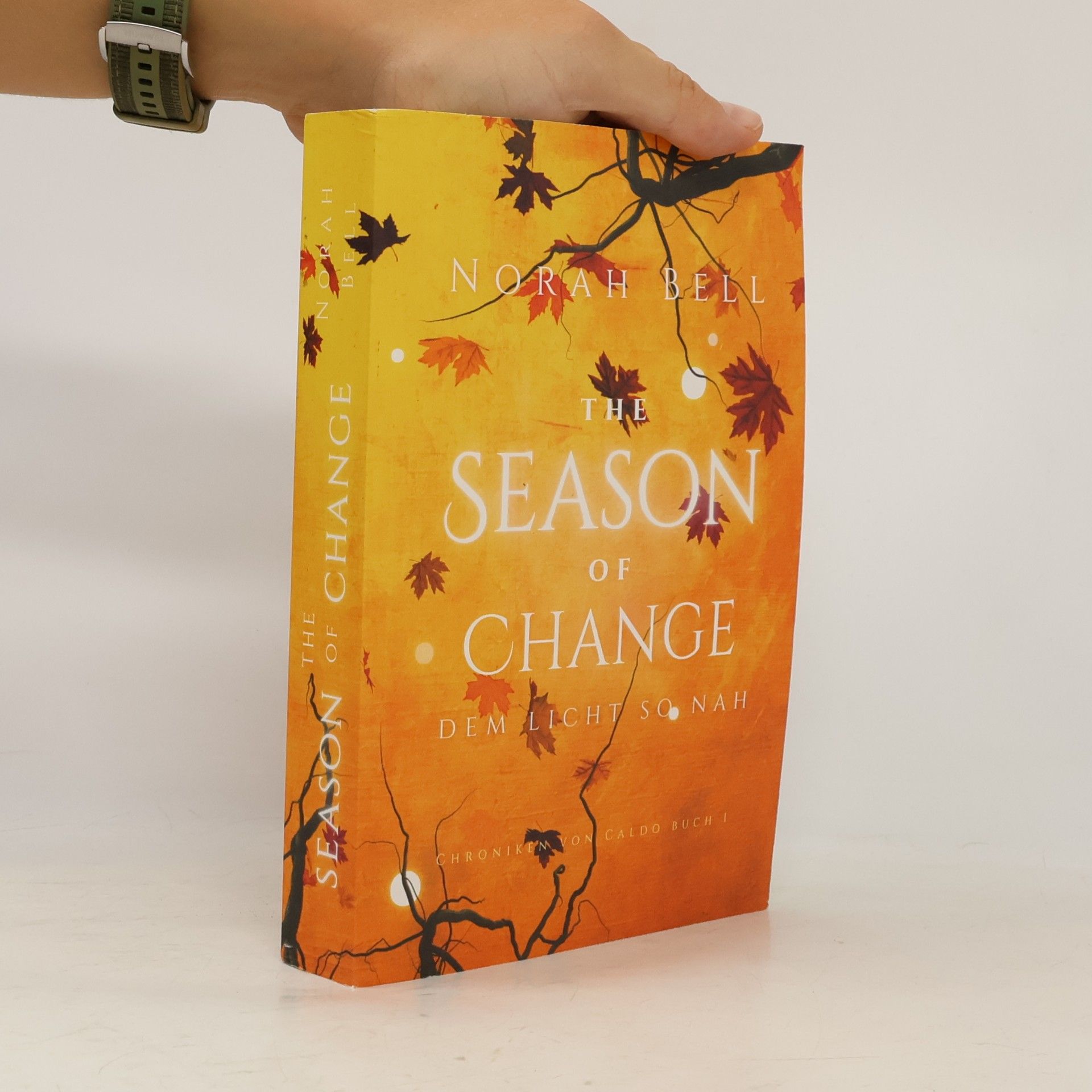 Norah Bell The Season of Change