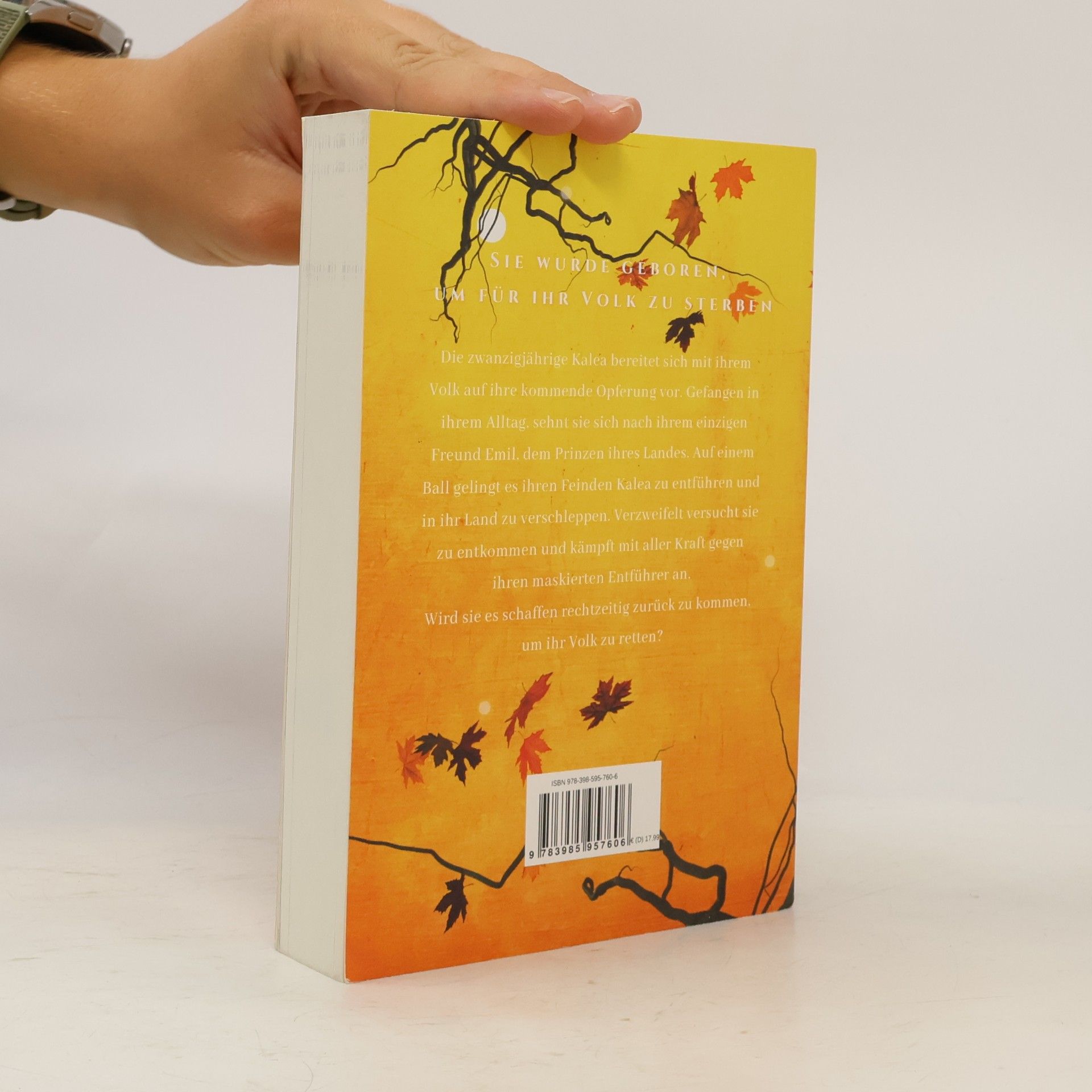 Norah Bell The Season of Change