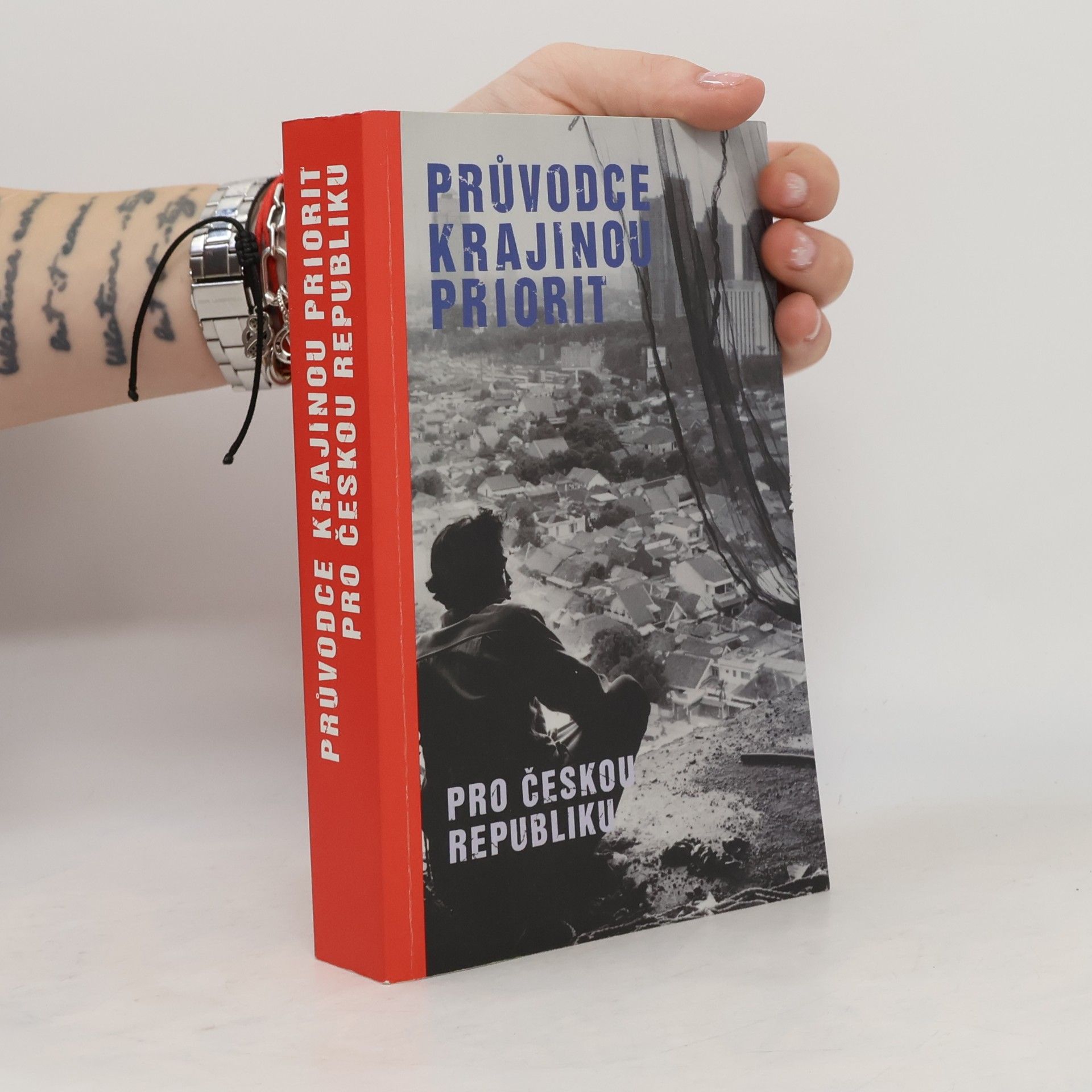 Collectif d'auteurs Průvodce krajinou priorit pro Českou republiku