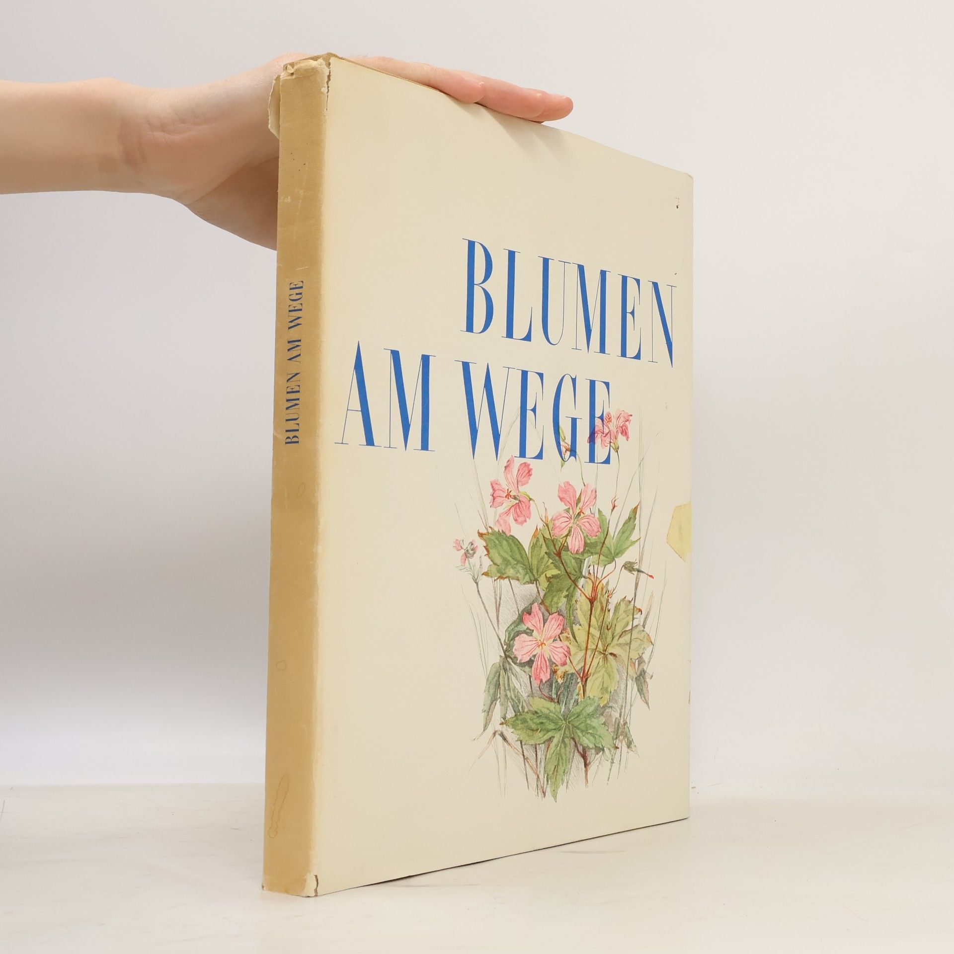 Collectif d'auteurs Blumen am Wege